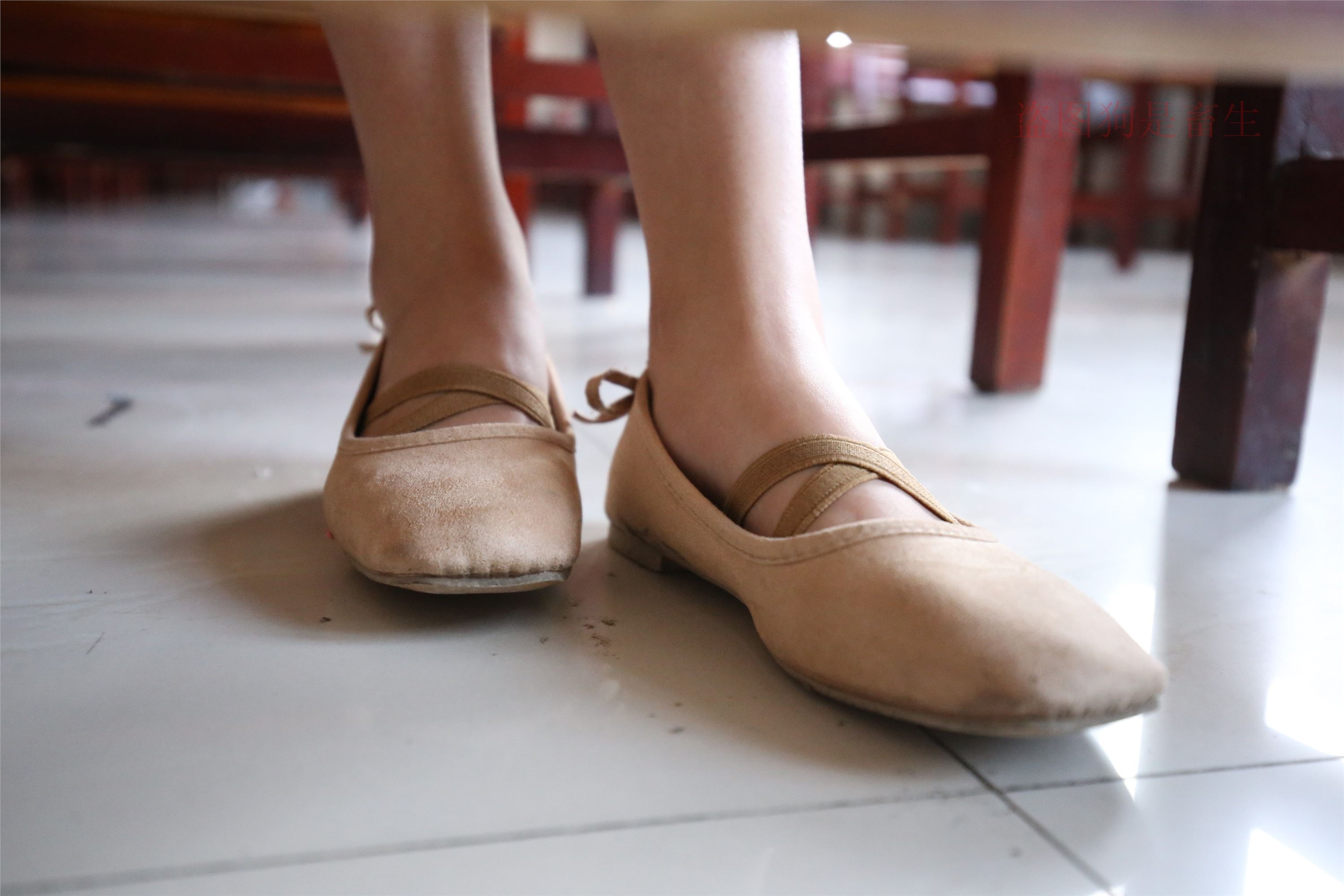 大西瓜美女图片 Z5-4 电梯冰si luo足 316p3