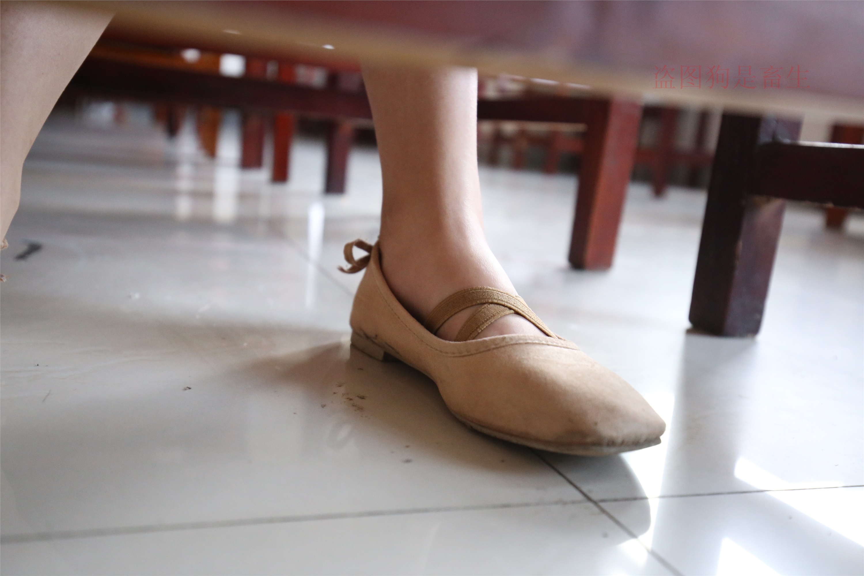 大西瓜美女图片 Z5-4 电梯冰si luo足 316p3