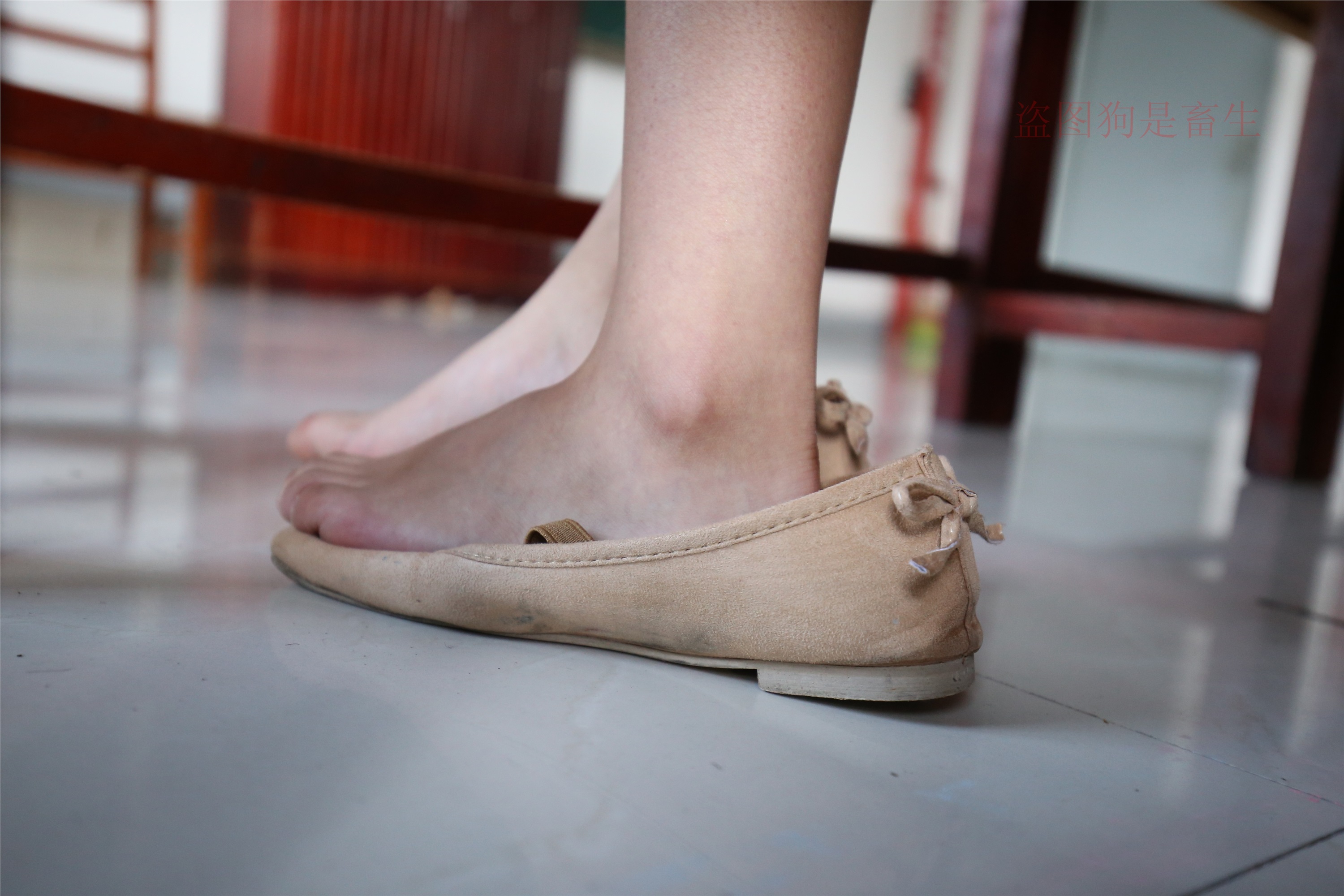 大西瓜美女图片 Z5-4 电梯冰si luo足 316p3