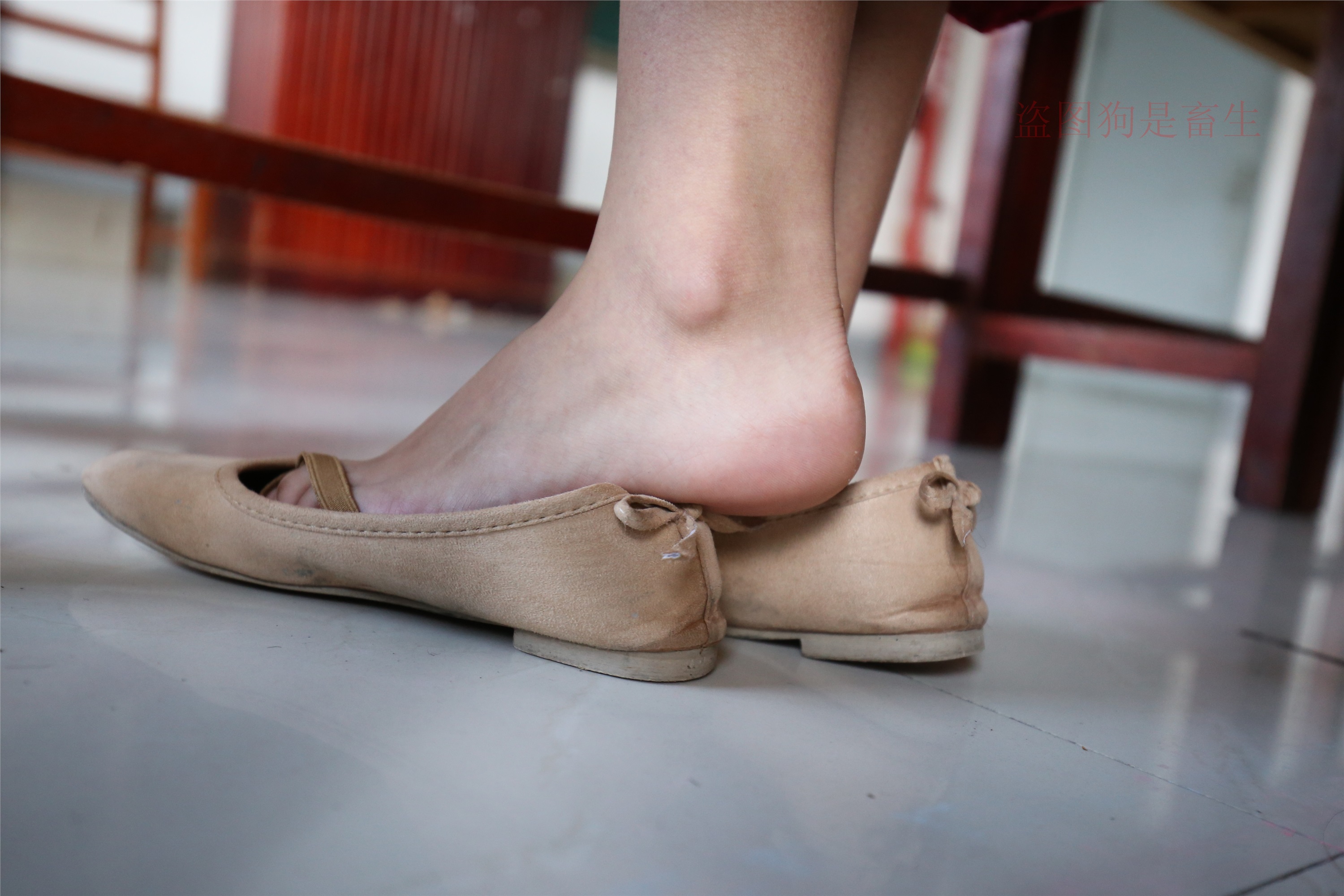 大西瓜美女图片 Z5-4 电梯冰si luo足 316p3