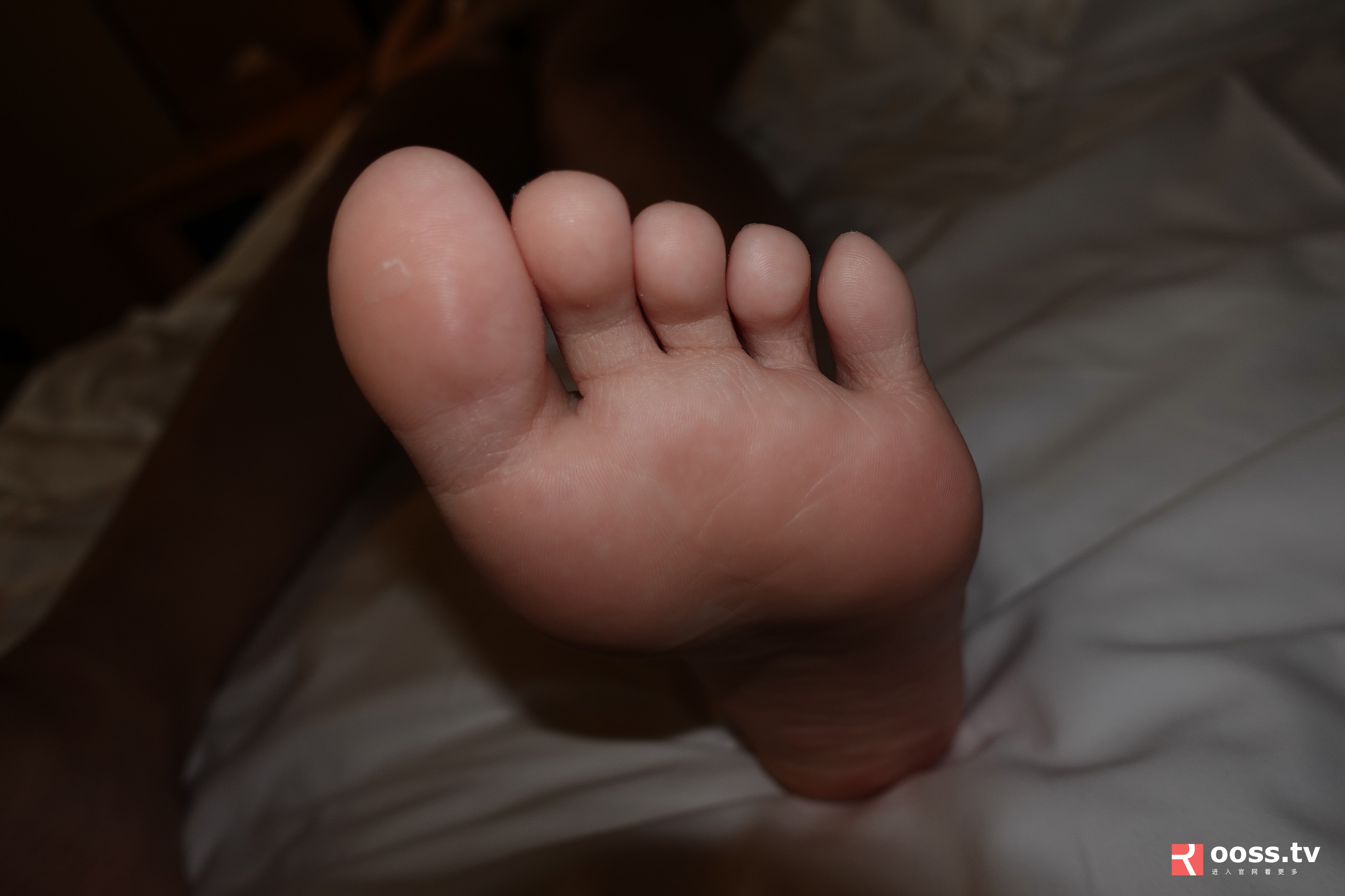 ROSI写真 2019.10.29 NO.2885