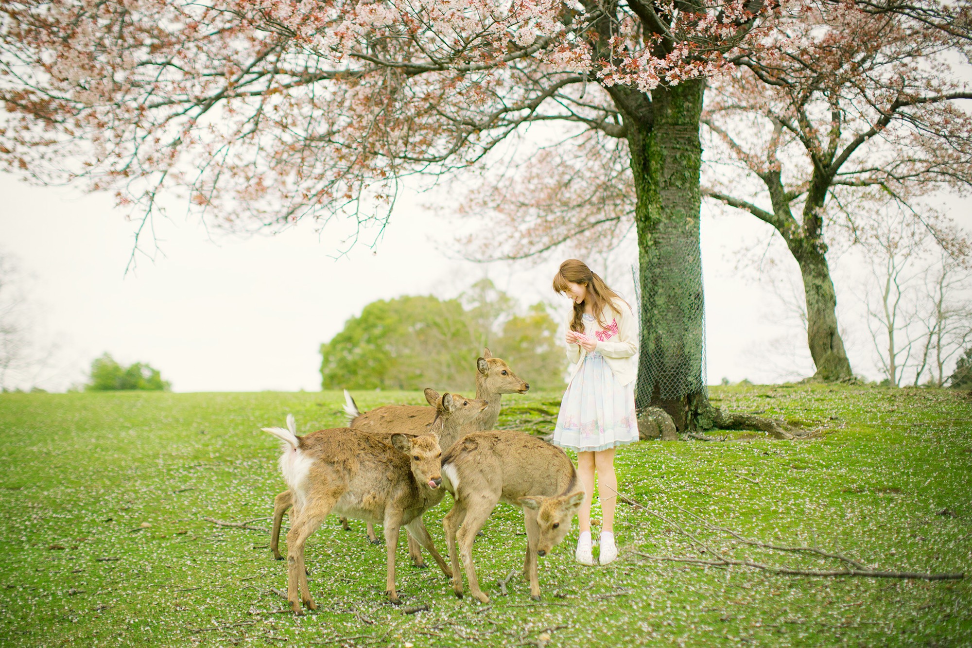 兔玩映画系列 Yurisa