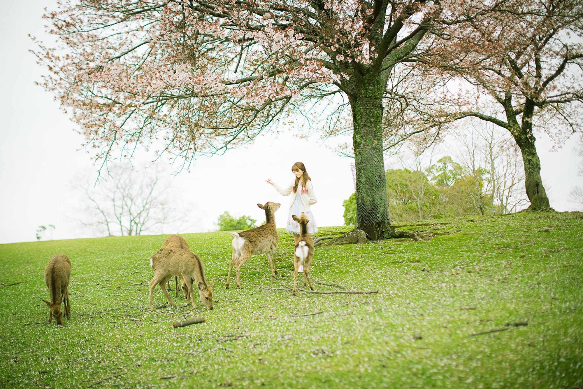 兔玩映画系列 Yurisa