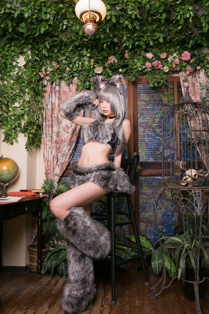 兔玩映画系列 大灰狼