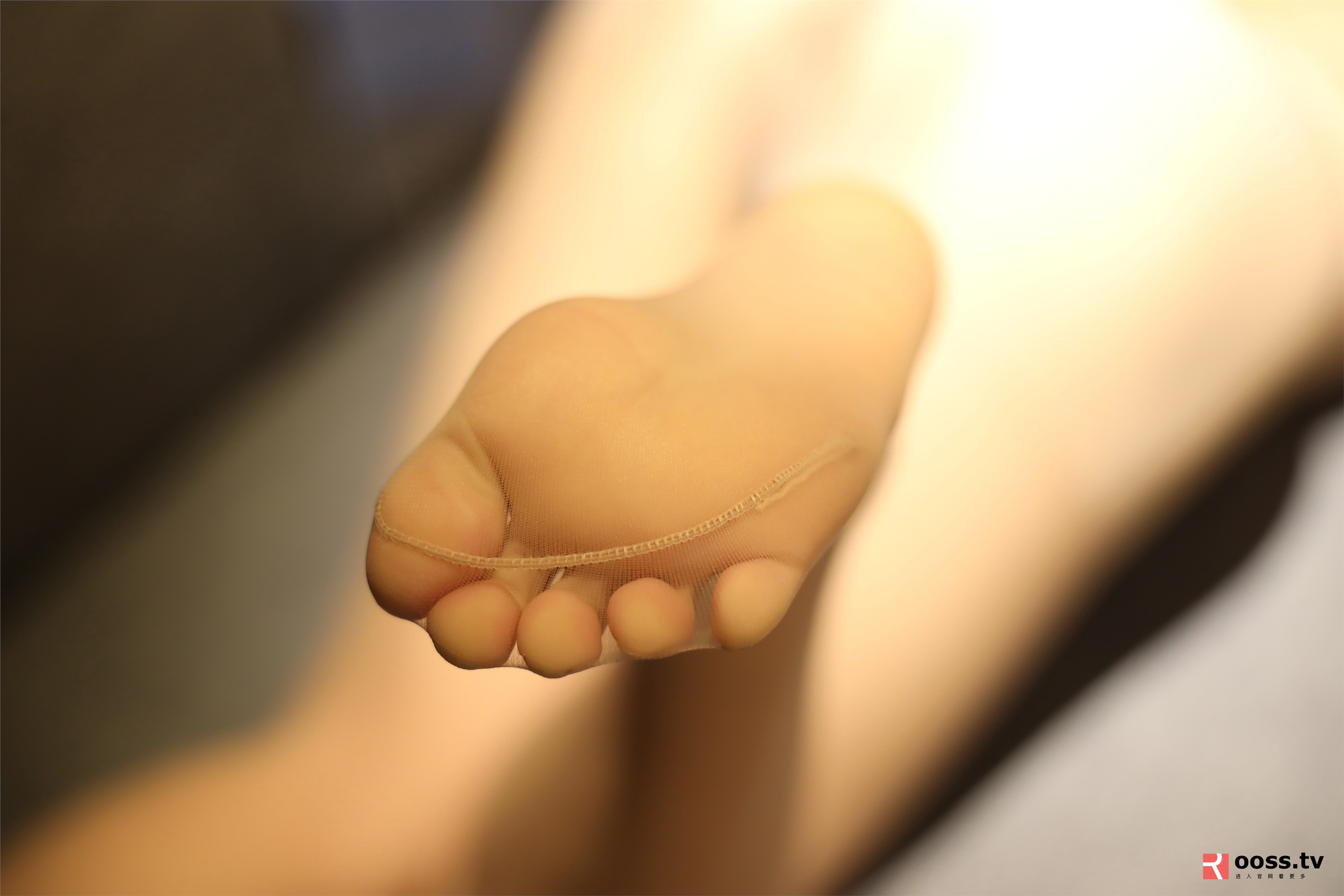 ROSI写真 2019.10.30 NO.2886