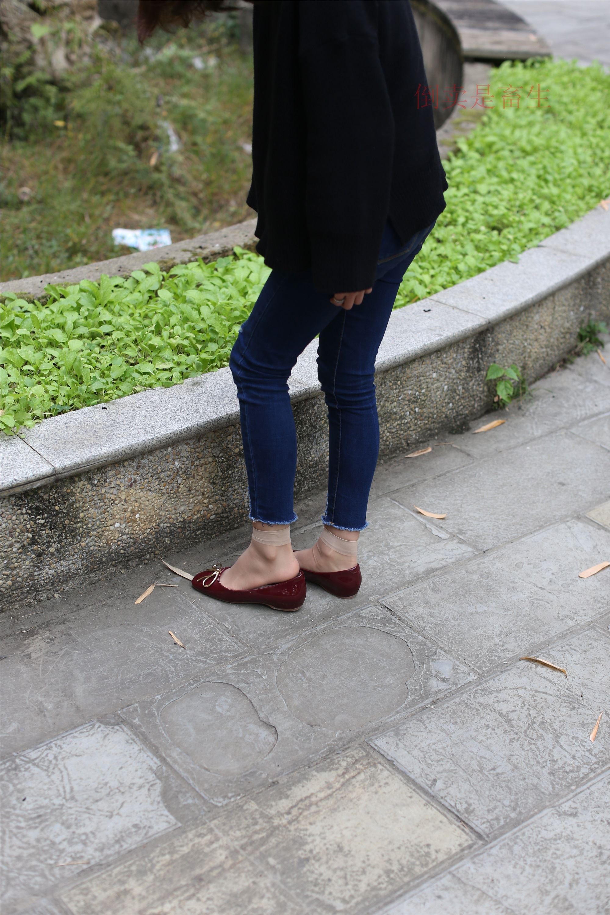 大西瓜美女图片 Z5-5 深牛短丝450P1