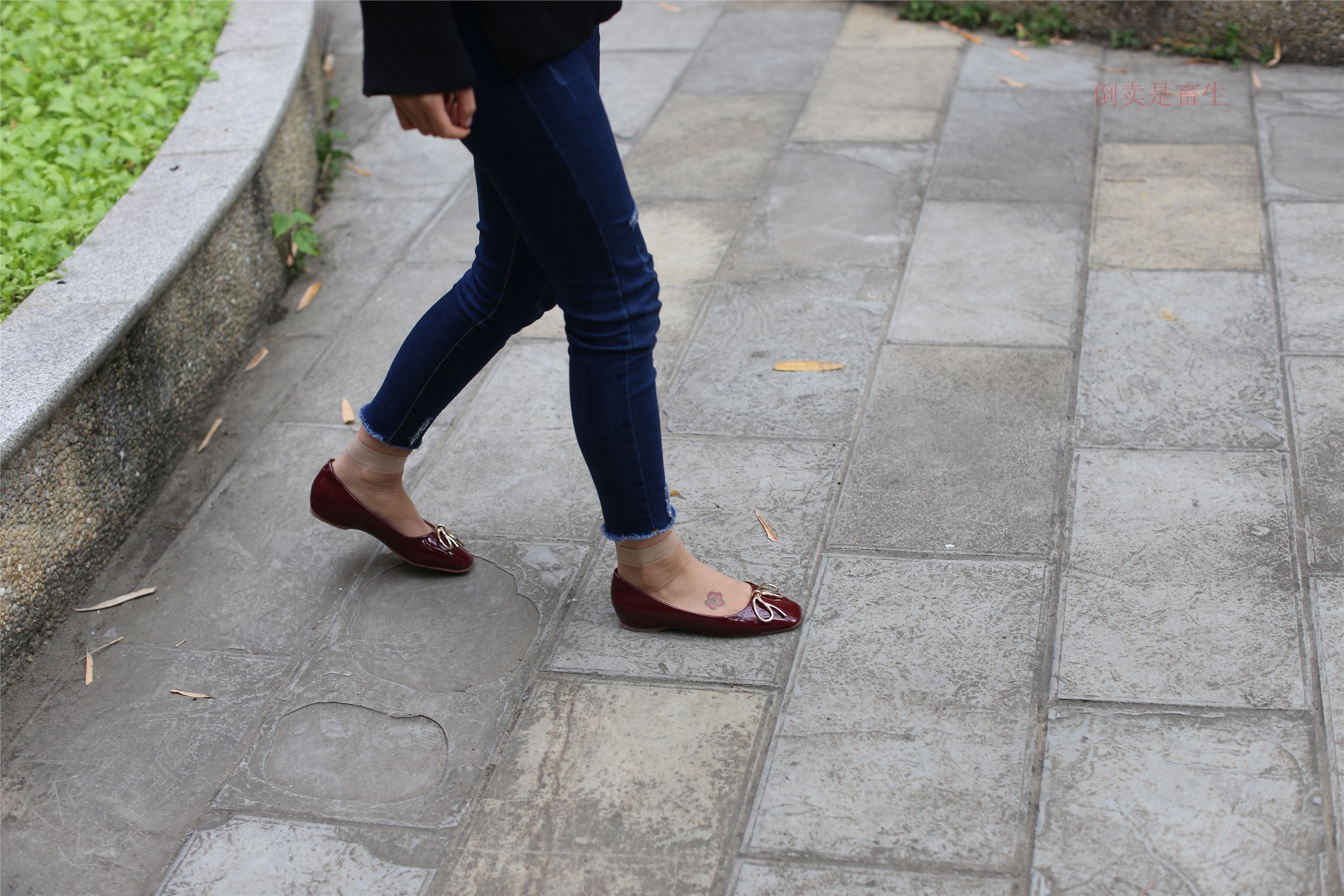 大西瓜美女图片 Z5-5 深牛短丝450P1