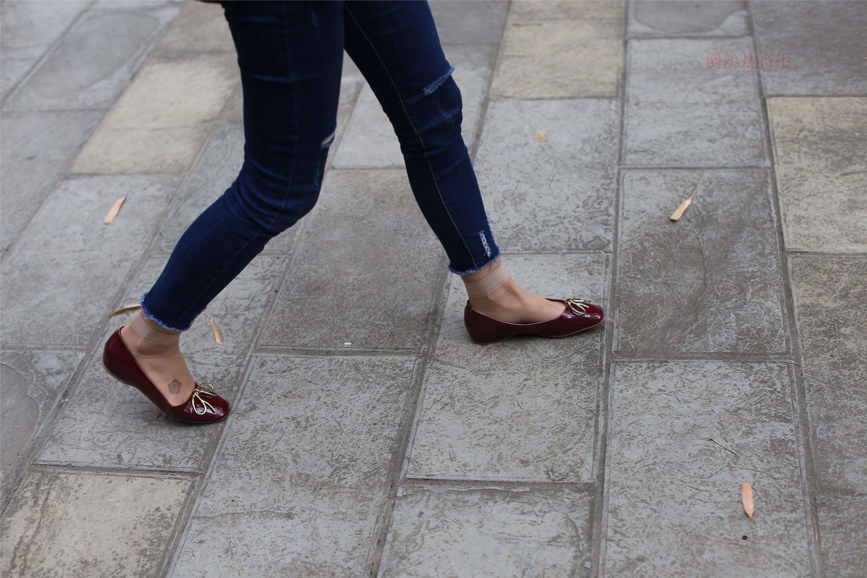 大西瓜美女图片 Z5-5 深牛短丝450P1