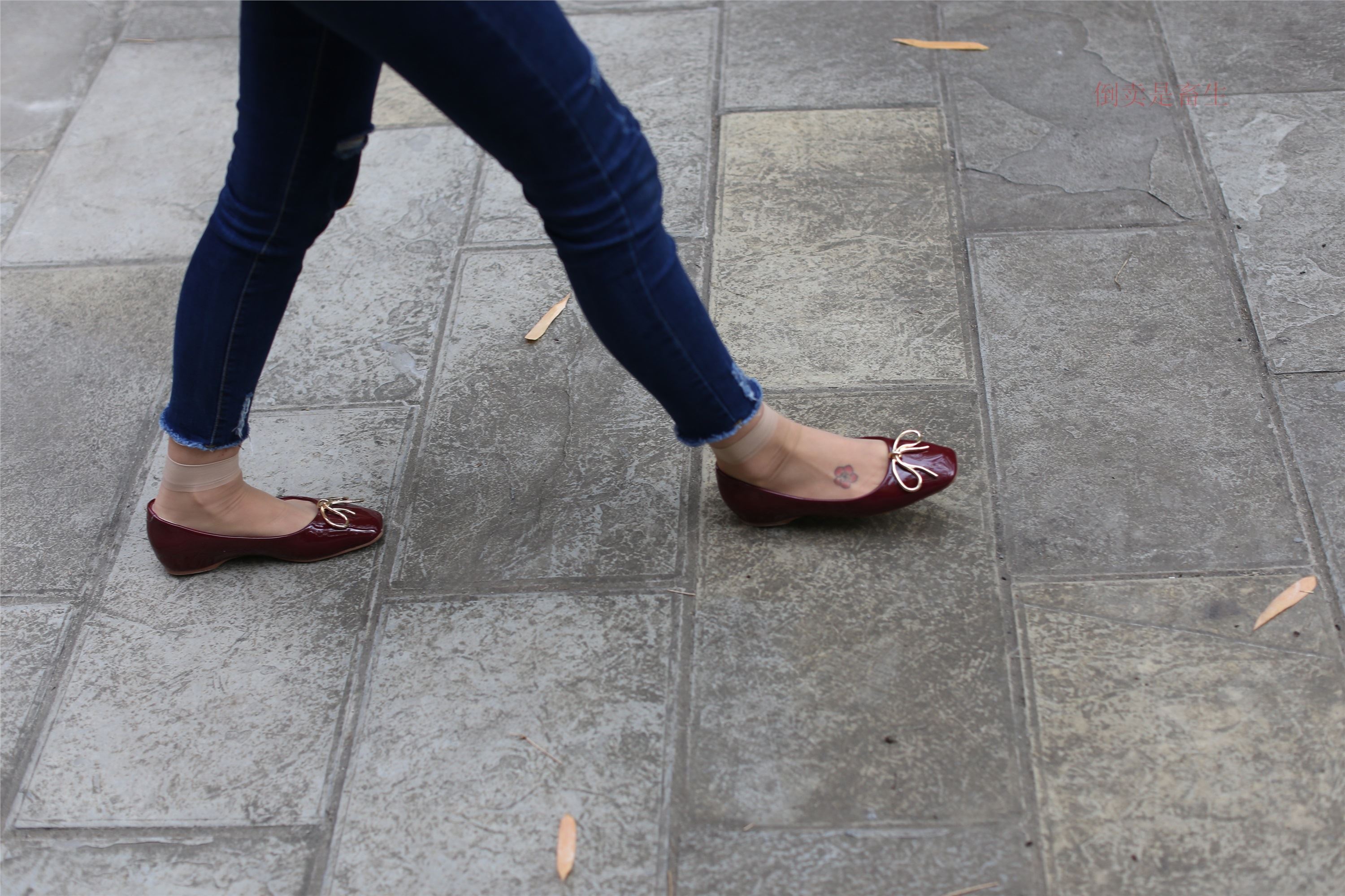 大西瓜美女图片 Z5-5 深牛短丝450P1