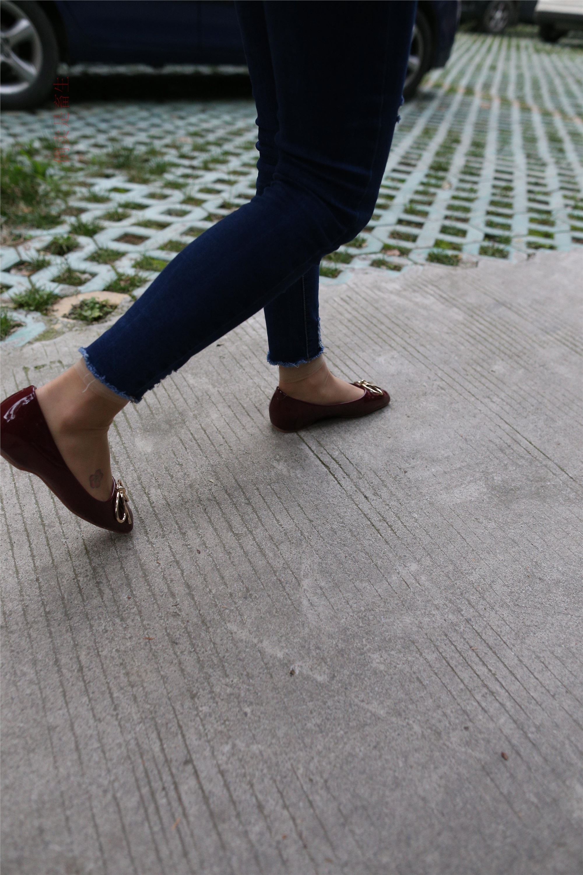 大西瓜美女图片 Z5-5 深牛短丝450P2