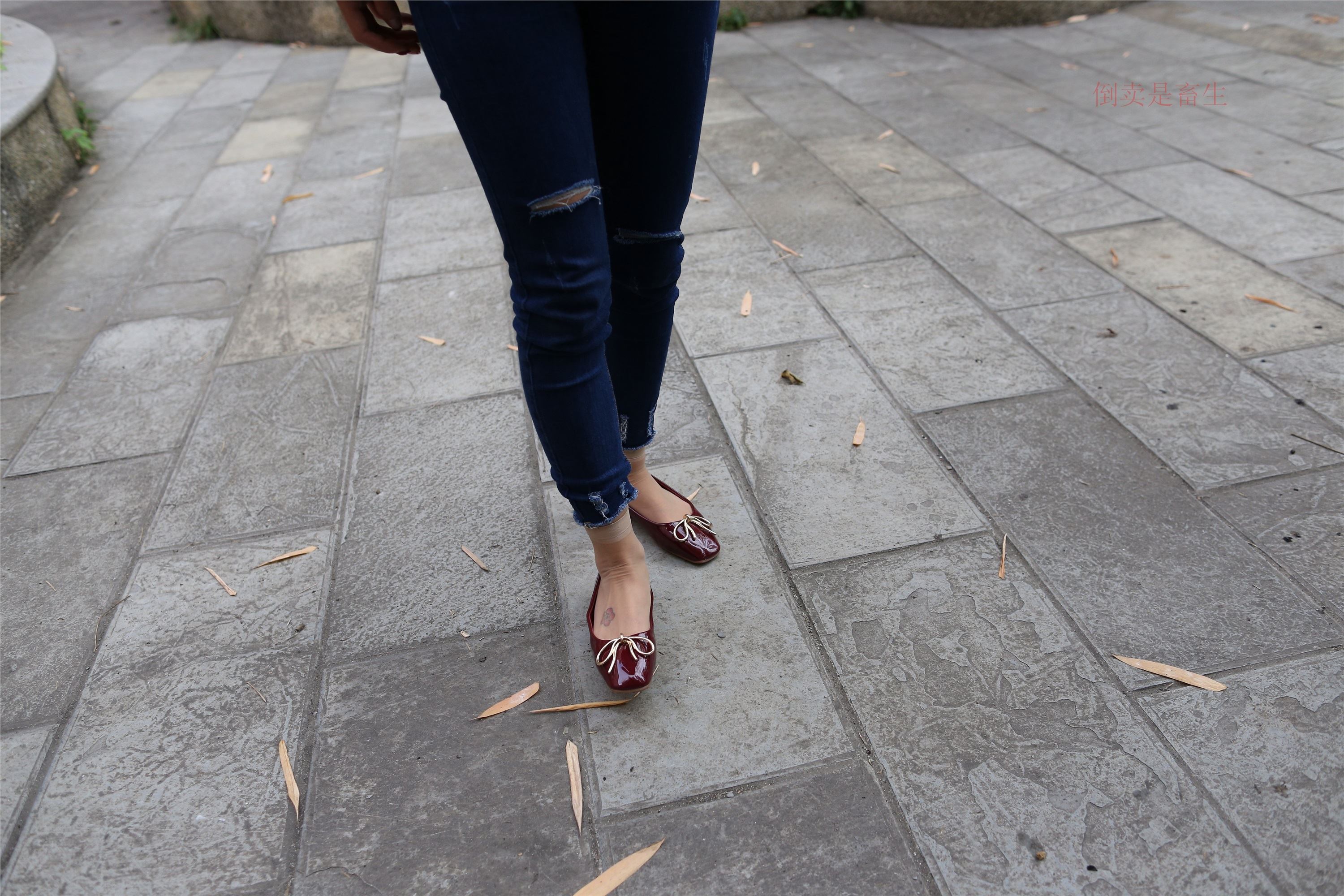 大西瓜美女图片 Z5-5 深牛短丝450P2