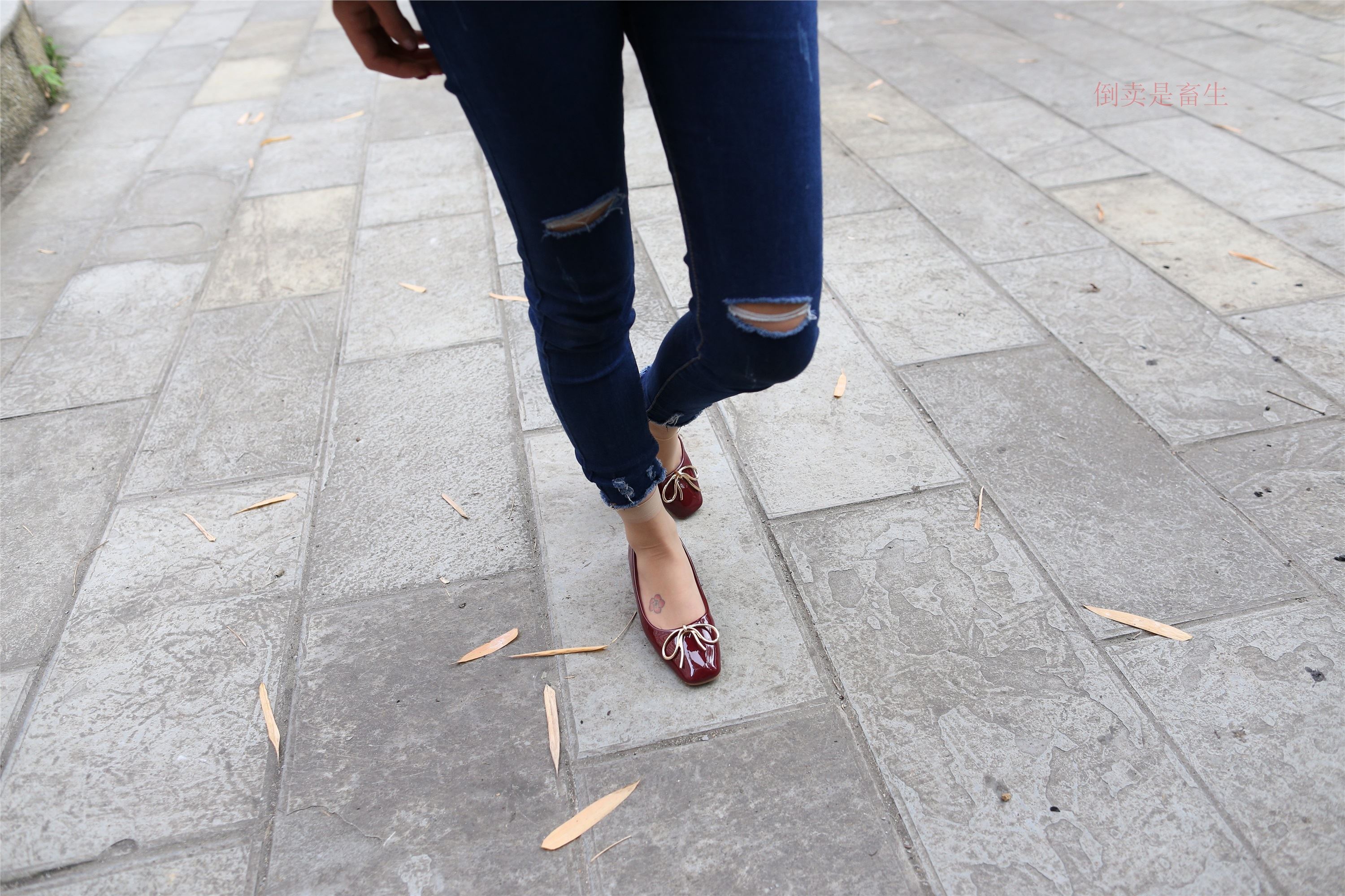 大西瓜美女图片 Z5-5 深牛短丝450P2