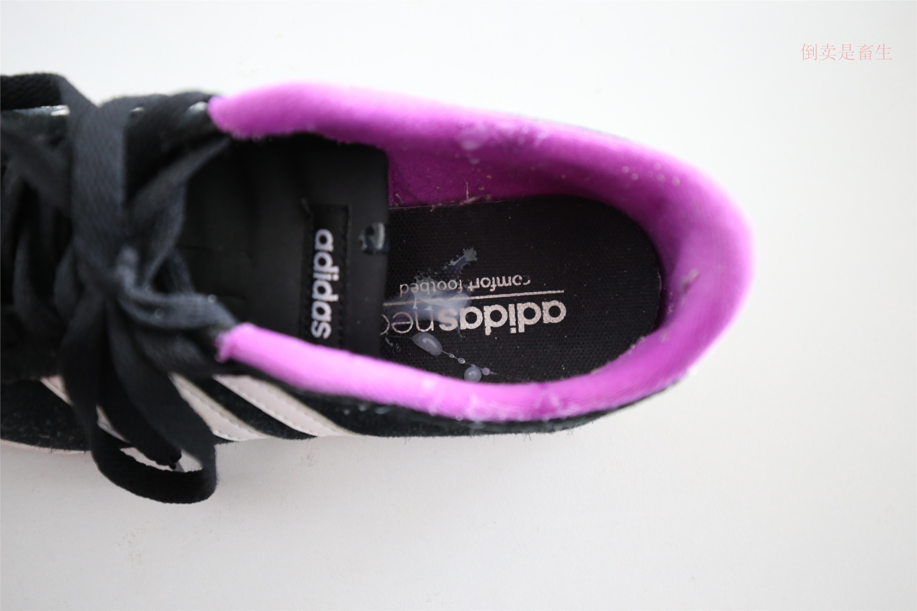 大西瓜美女图片 Z6-1 模特1 船足187p