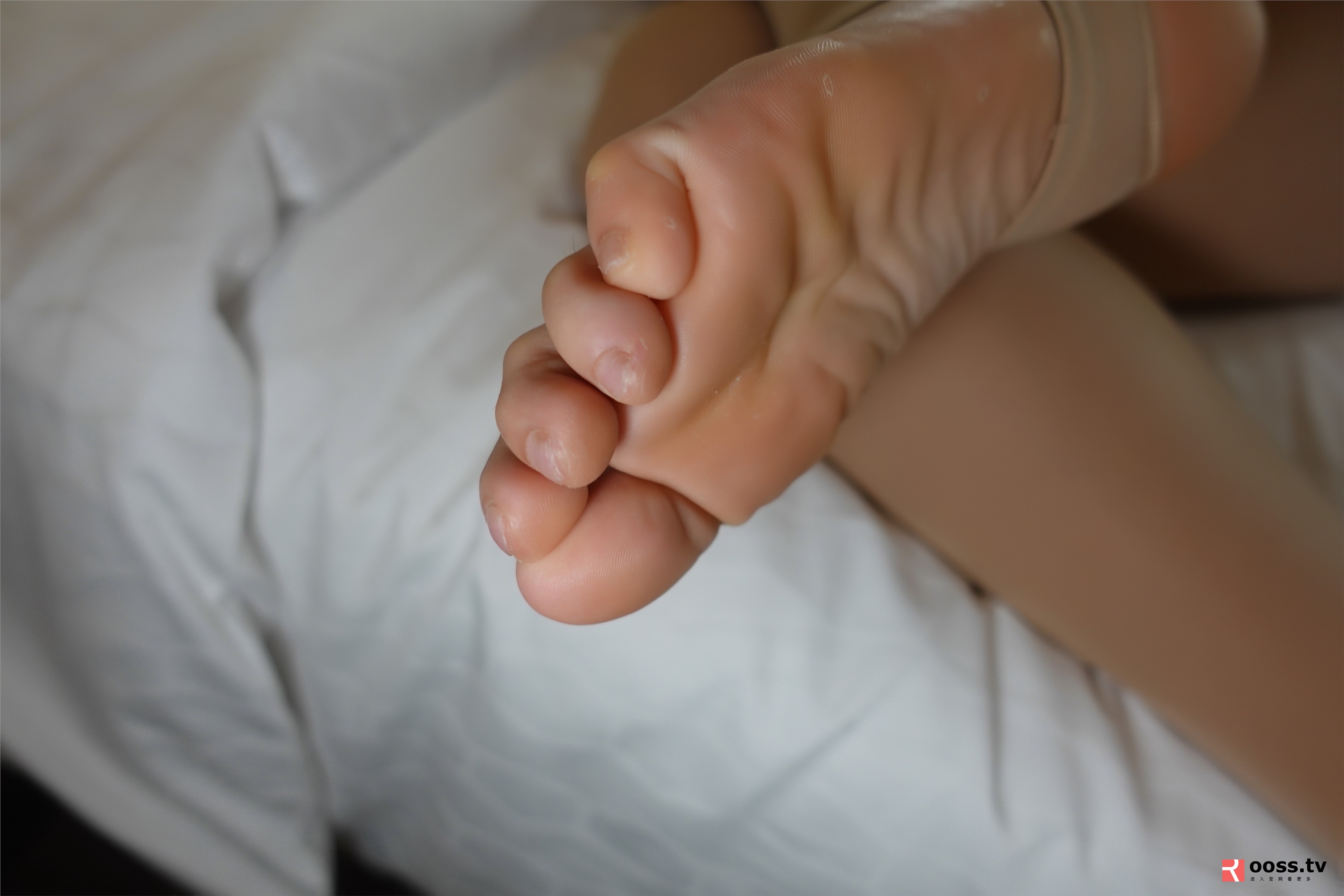 ROSI写真 2019.11.03 NO.2890