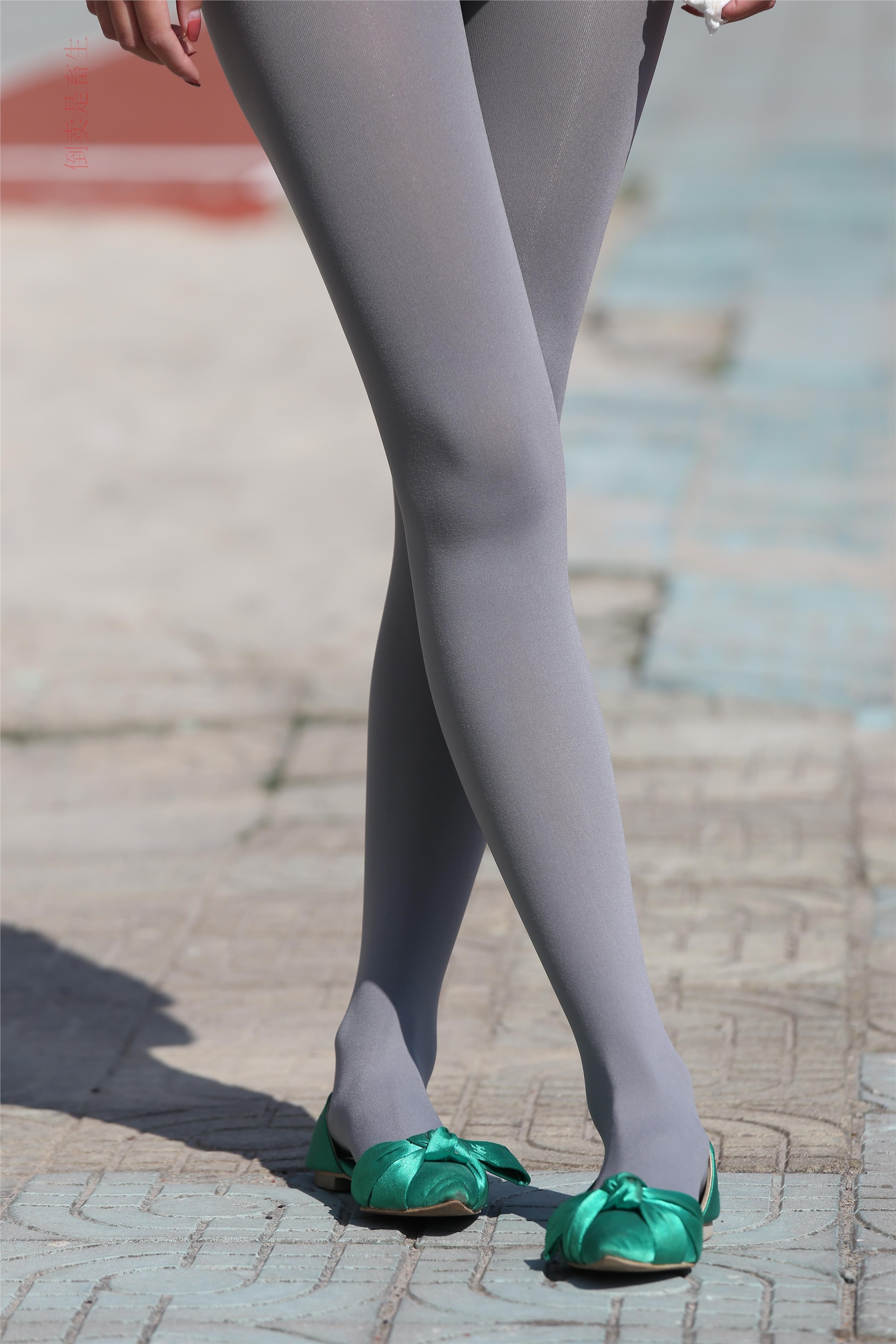 大西瓜美女图片 Z6-2 模特1 灰丝热705P2