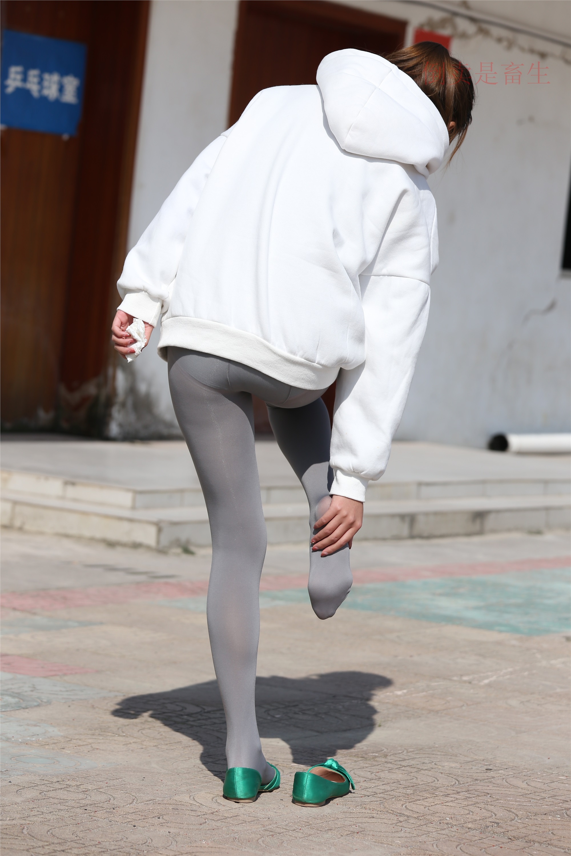 大西瓜美女图片 Z6-2 模特1 灰丝热705P2