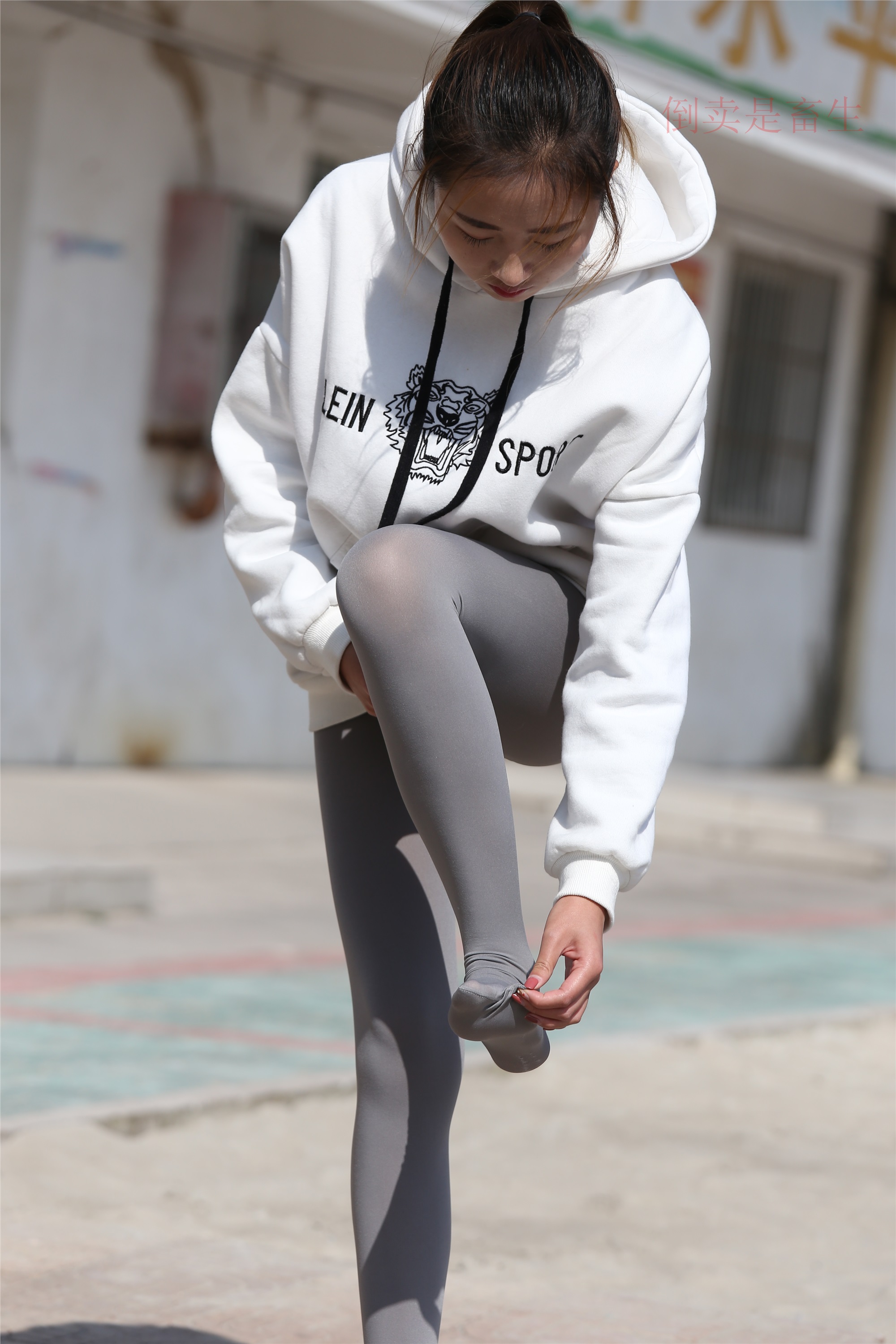 大西瓜美女图片 Z6-2 模特1 灰丝热705P2