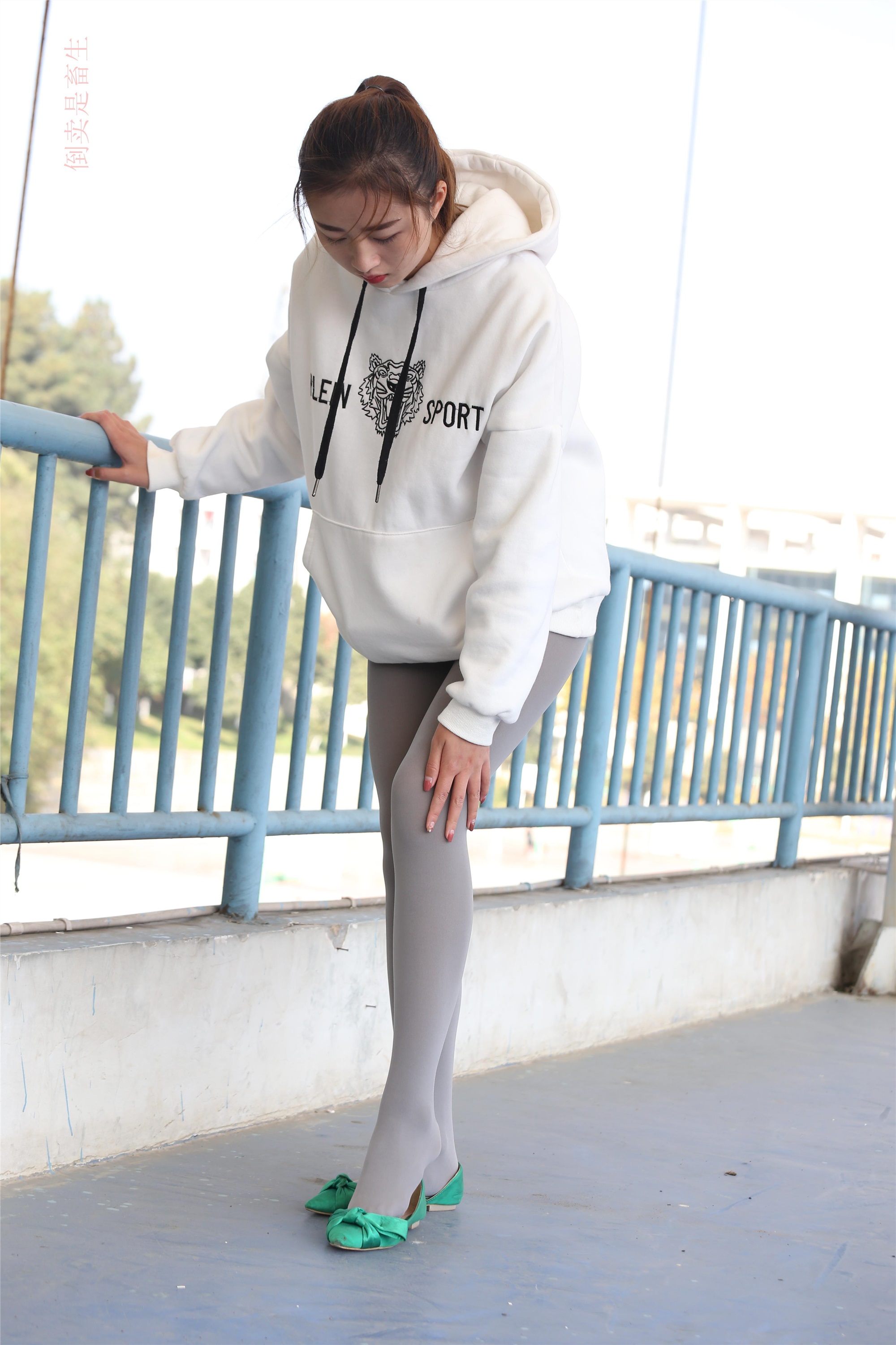 大西瓜美女图片 Z6-2 模特1 灰丝热705P3