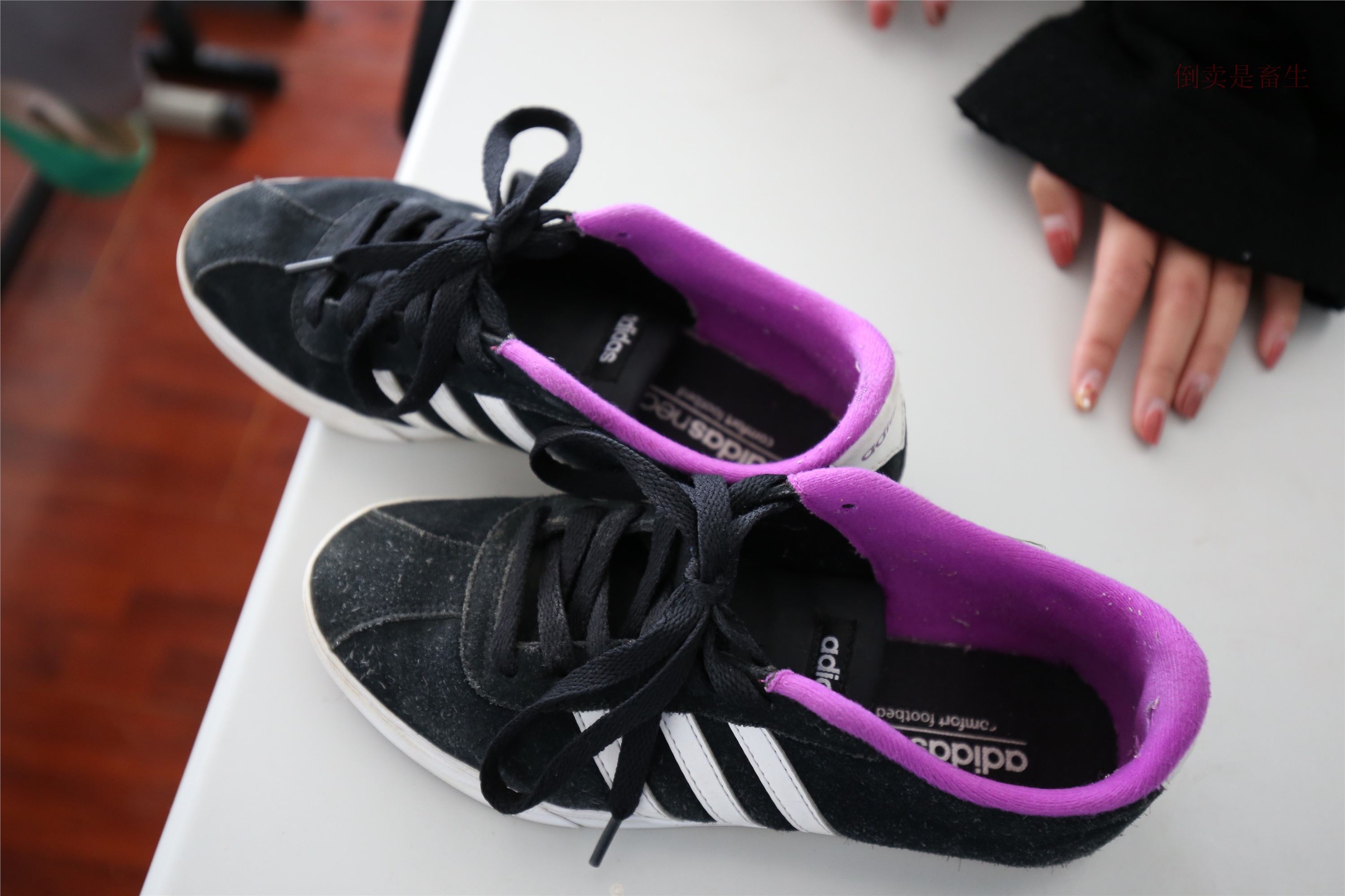 大西瓜美女图片 Z6-2 模特1 灰丝热705P3