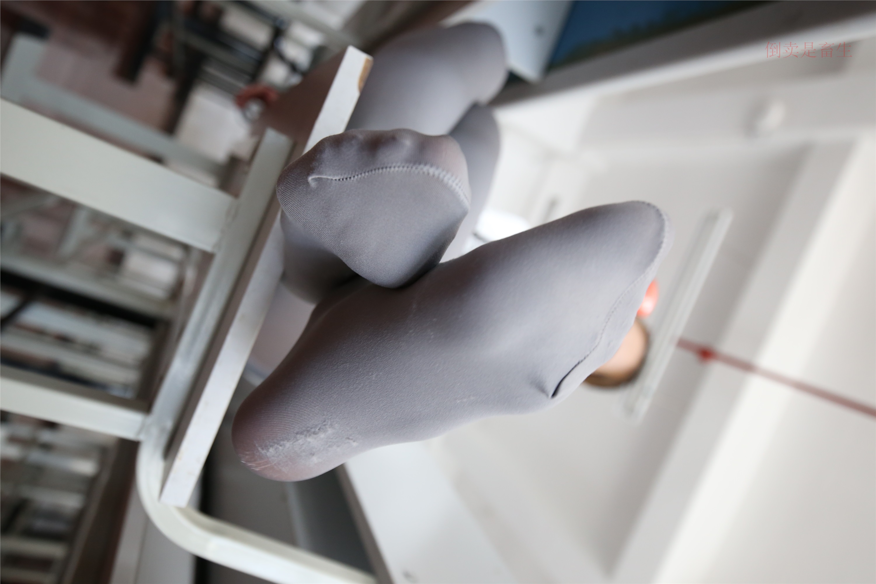 大西瓜美女图片 Z6-2 模特1 灰丝热705P4