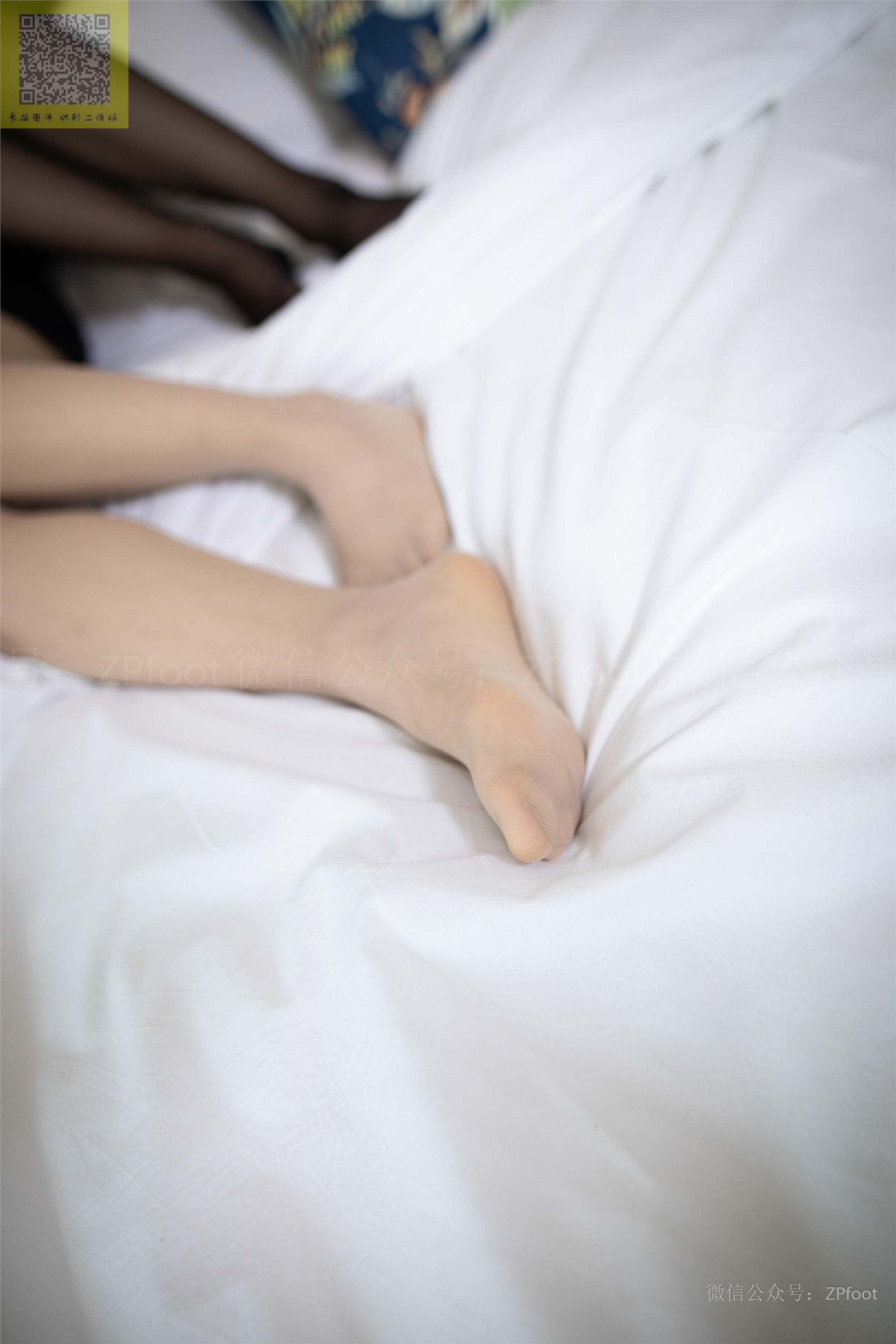 山茶摄影 – 最美的姊妹花99P82.8M