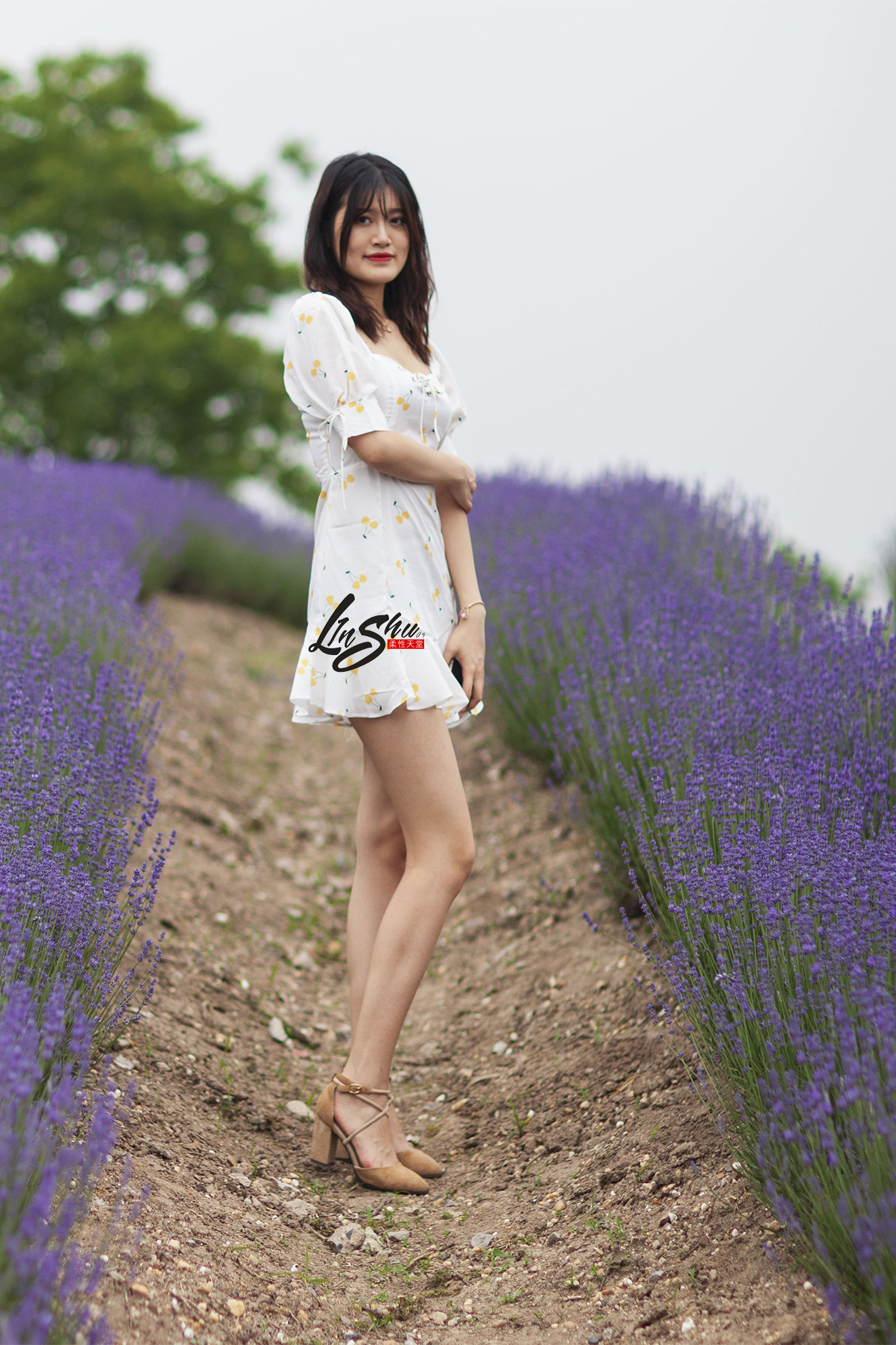 柔性天堂  – 白色碎花短裙美腿