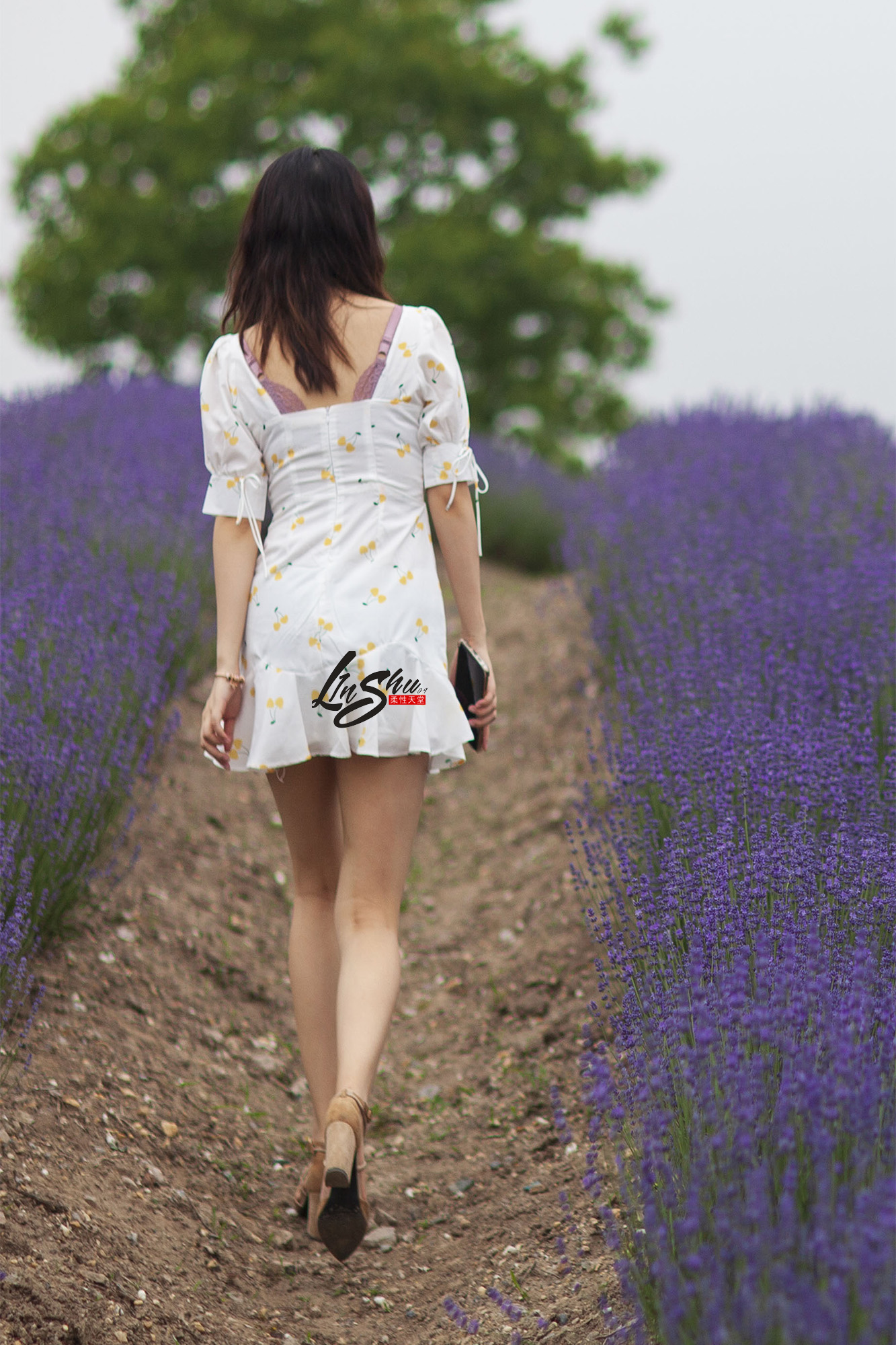 柔性天堂  – 白色碎花短裙美腿