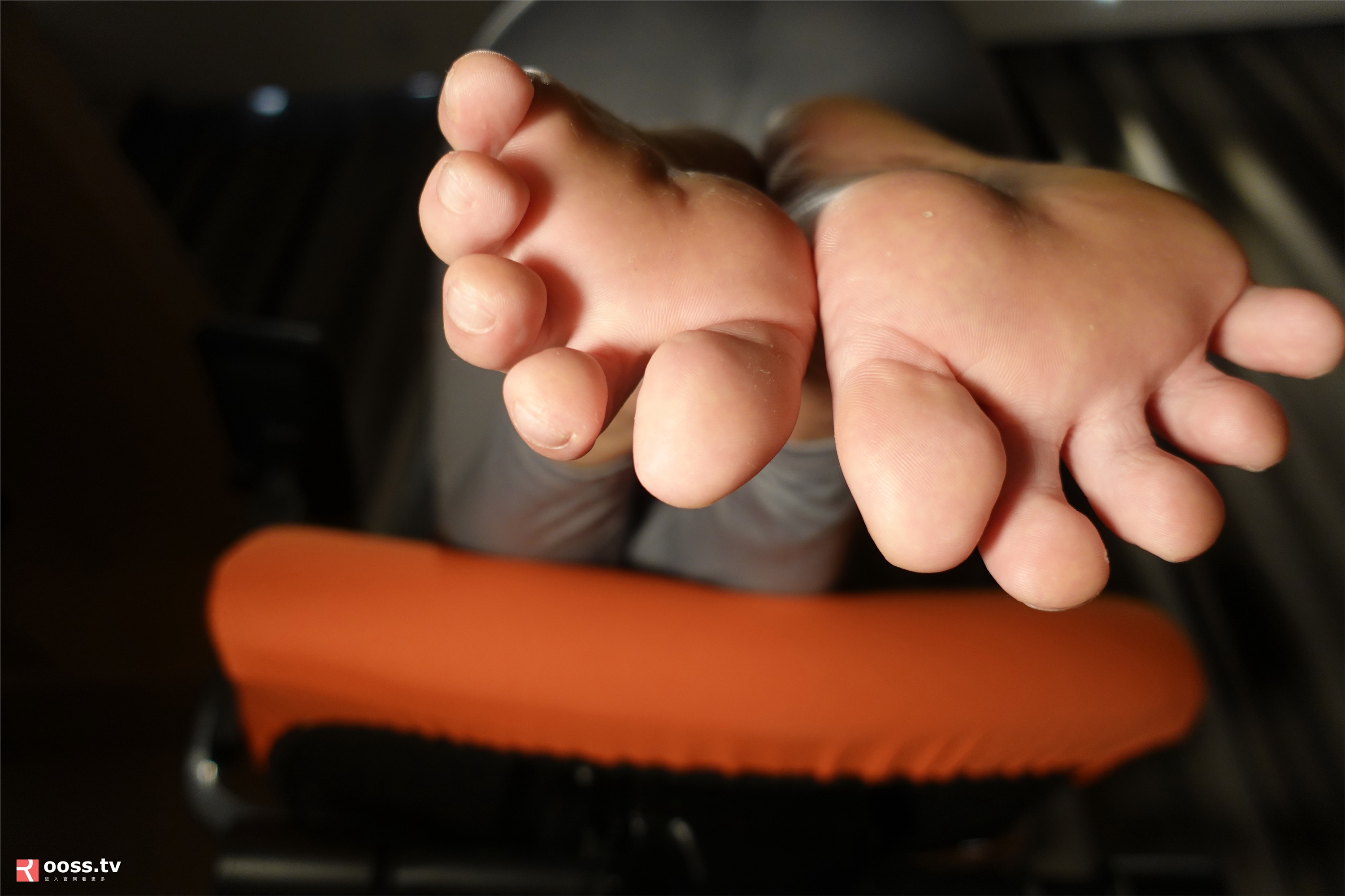 ROSI写真 2019.11.09 NO.2896