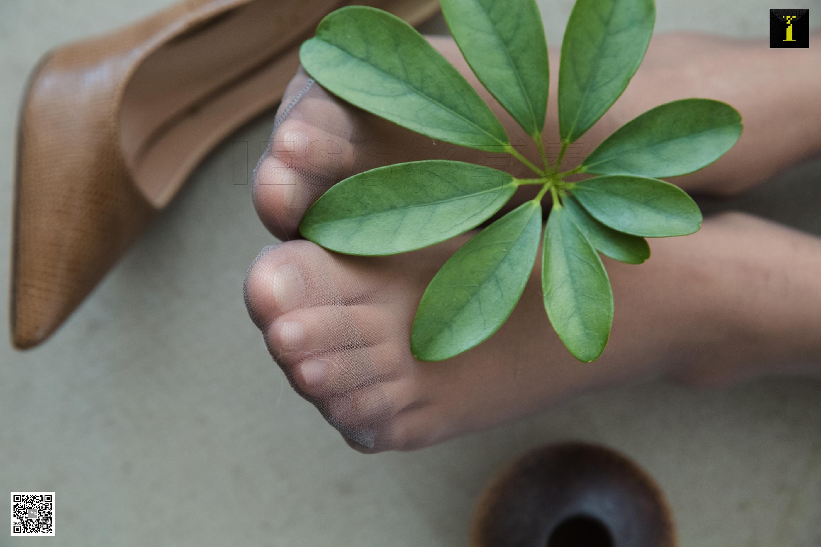 IESS异思趣向2019.11.11 丝享家614： 婉萍的青花旗袍