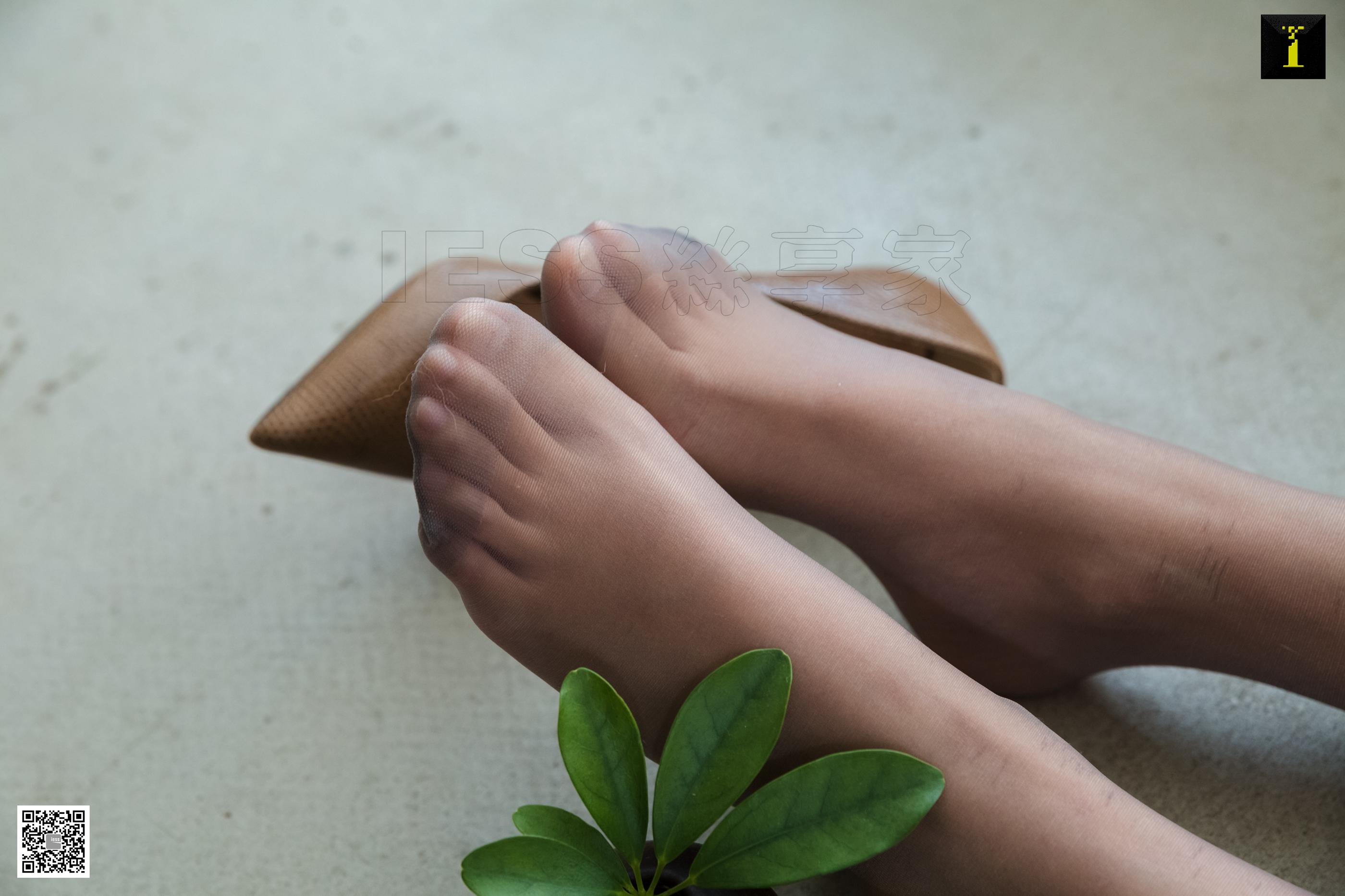 IESS异思趣向2019.11.11 丝享家614： 婉萍的青花旗袍