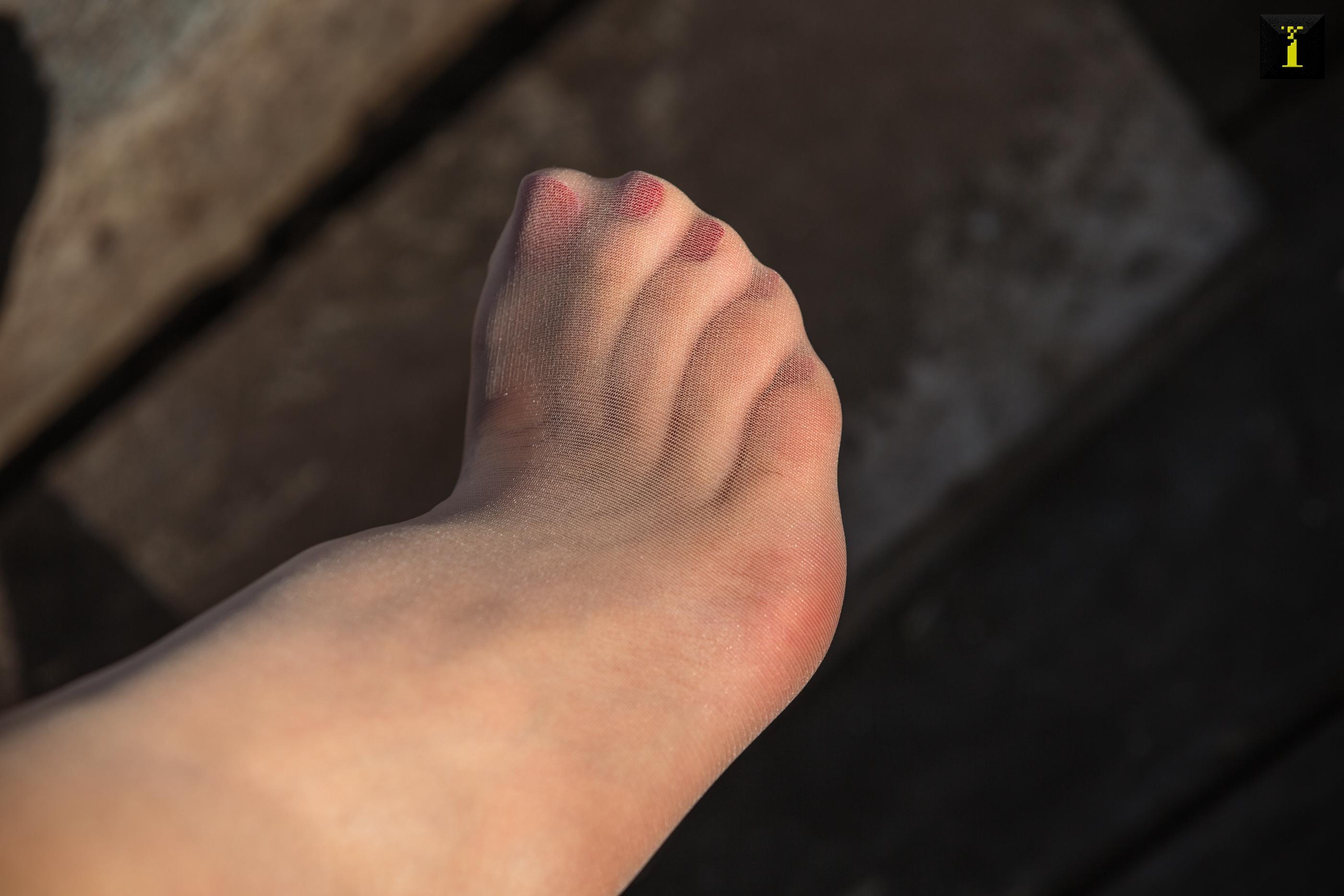 IESS异思趣向2019.11.16 丝享家619： 小小的冬日暖阳