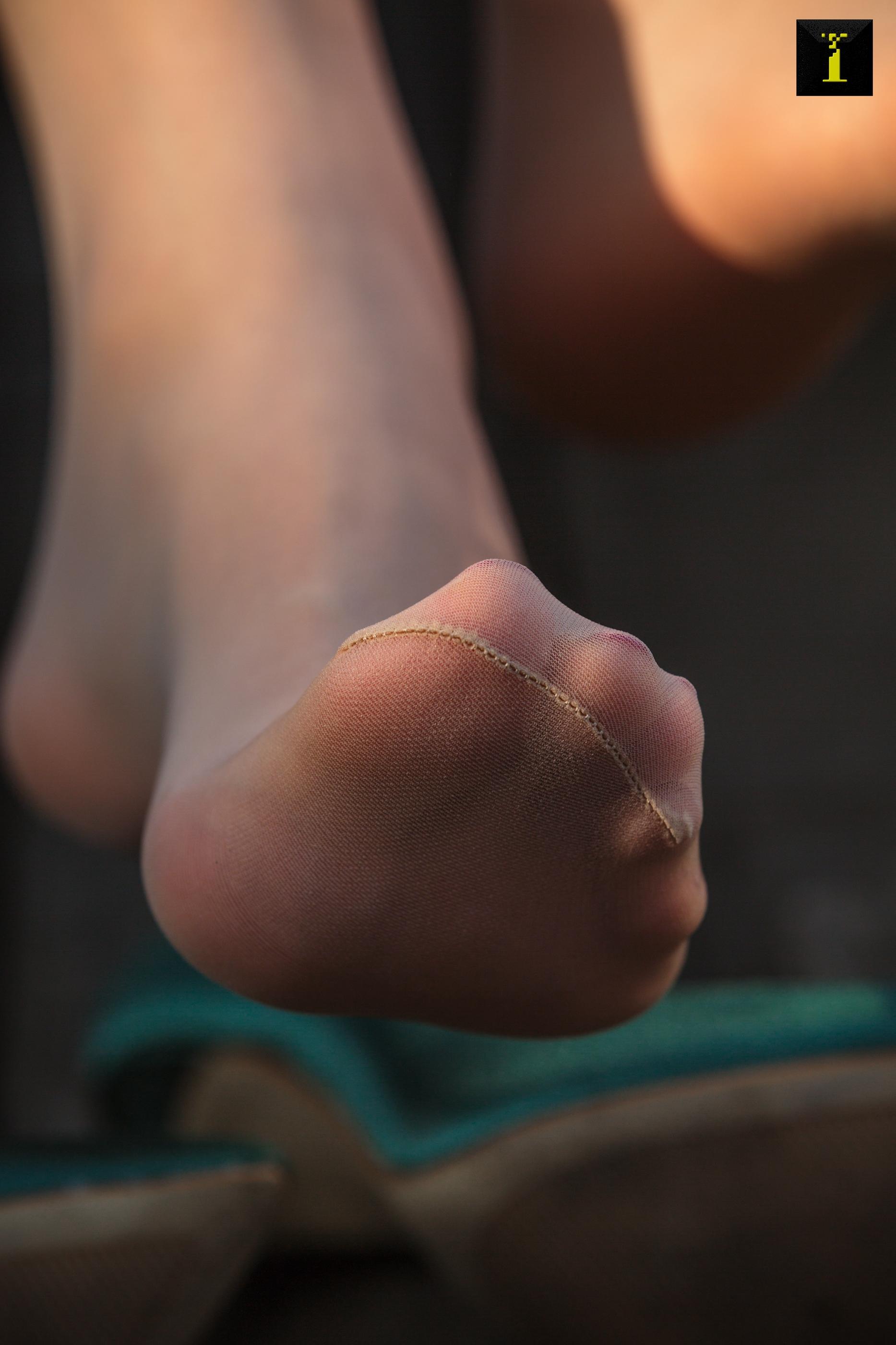 IESS异思趣向2019.11.16 丝享家619： 小小的冬日暖阳