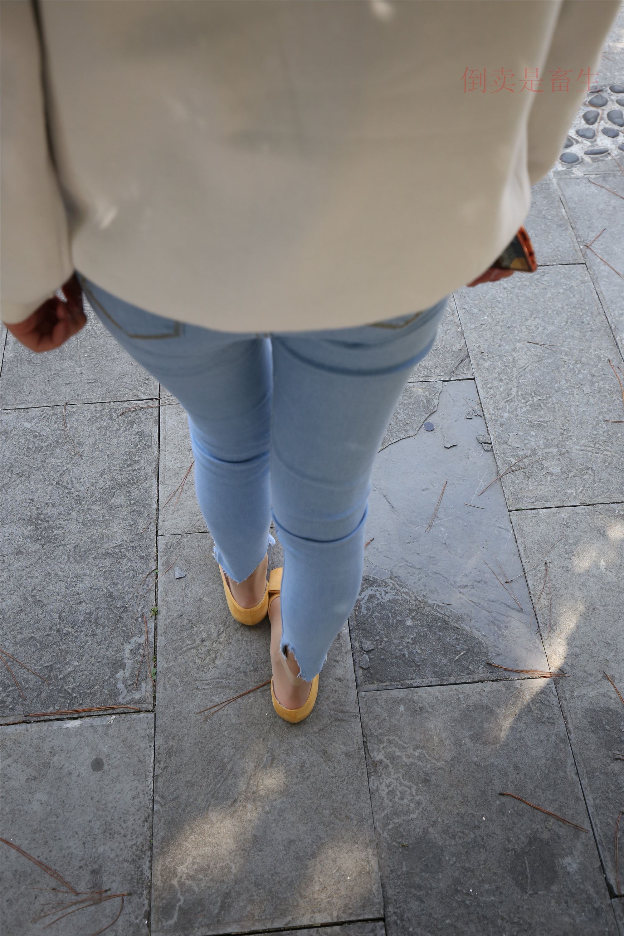 大西瓜美女图片 Z6-3 模特1 9牛仔短丝371p2