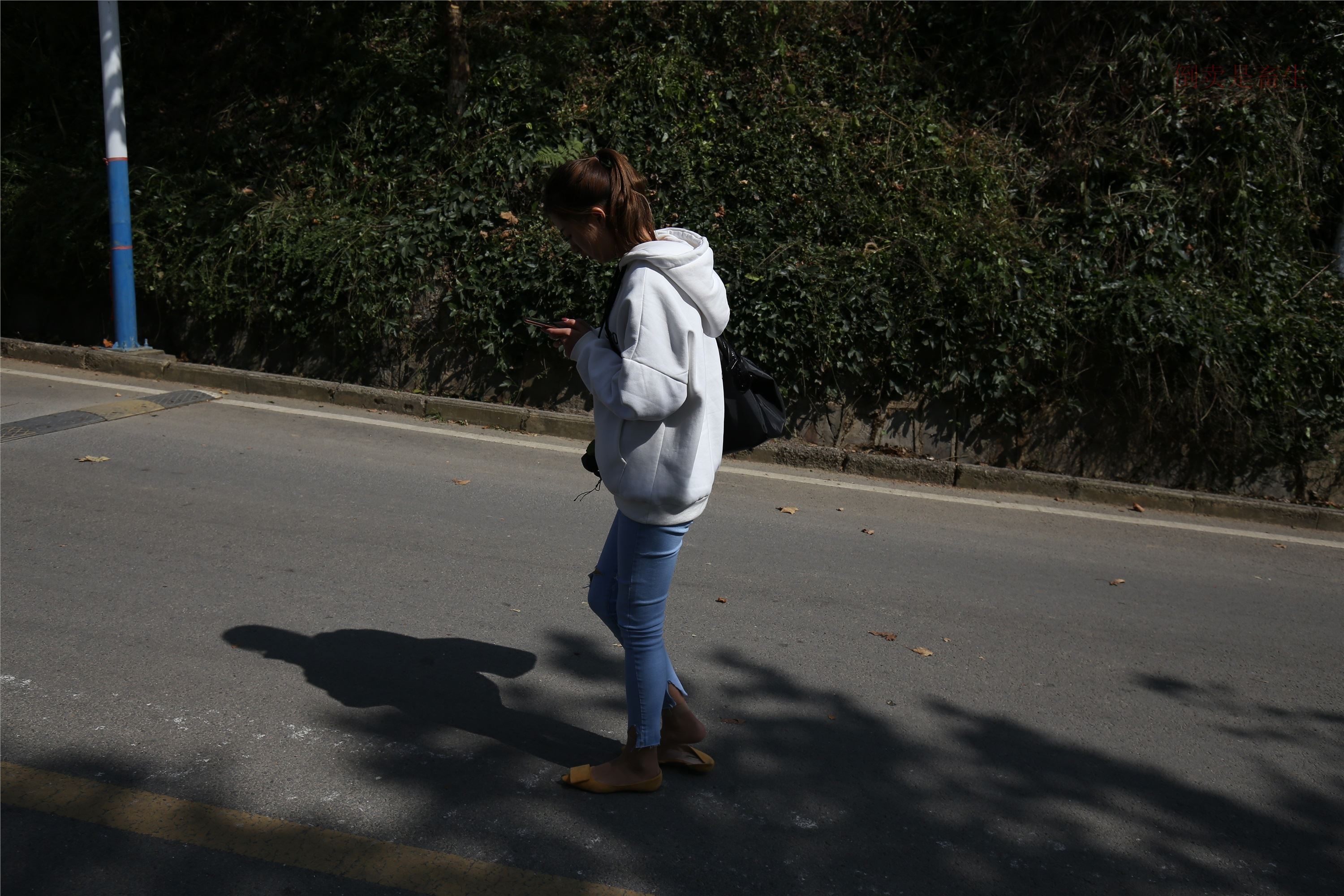 大西瓜美女图片 Z6-3 模特1 9牛仔短丝371p2