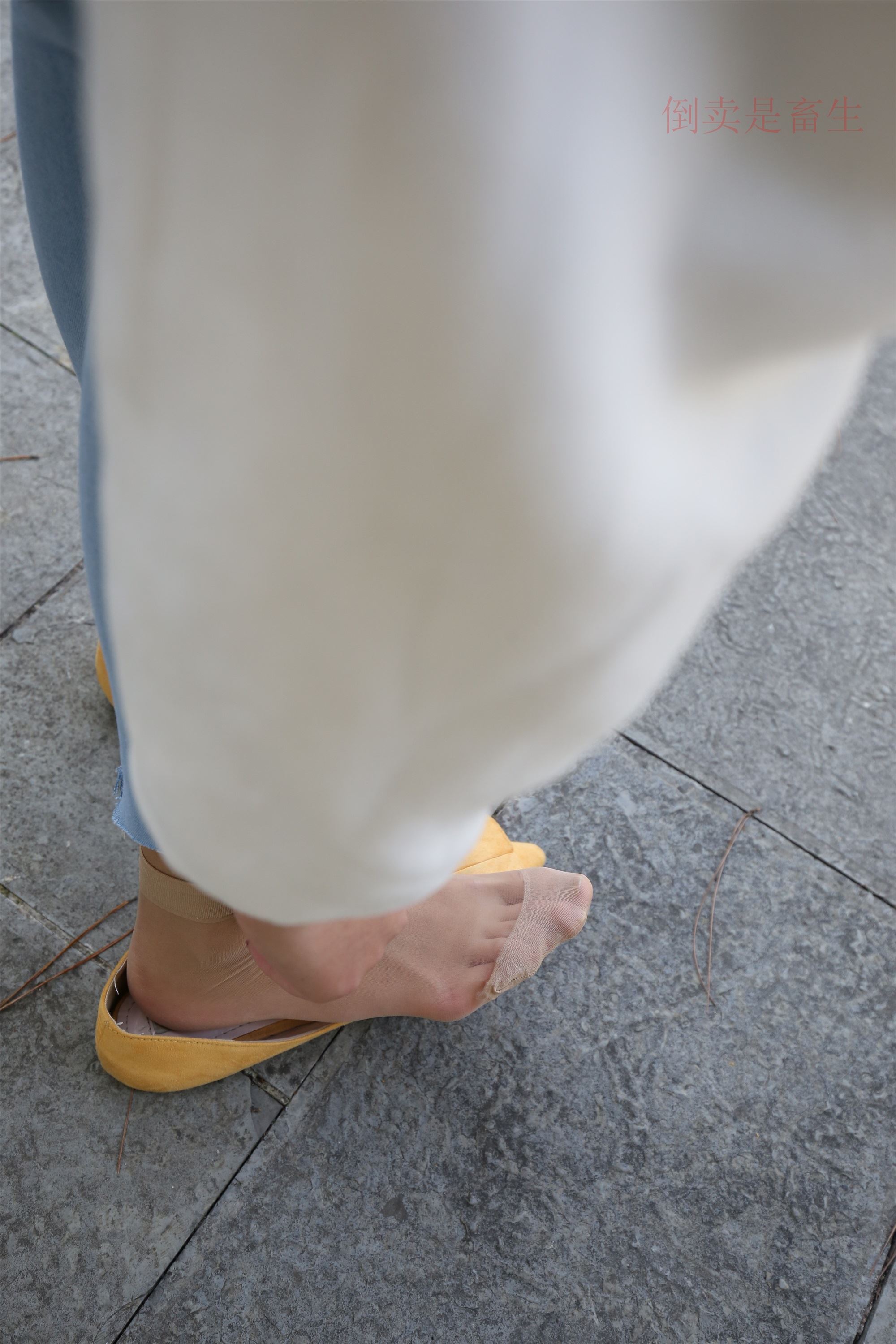 大西瓜美女图片 Z6-3 模特1 9牛仔短丝371p2