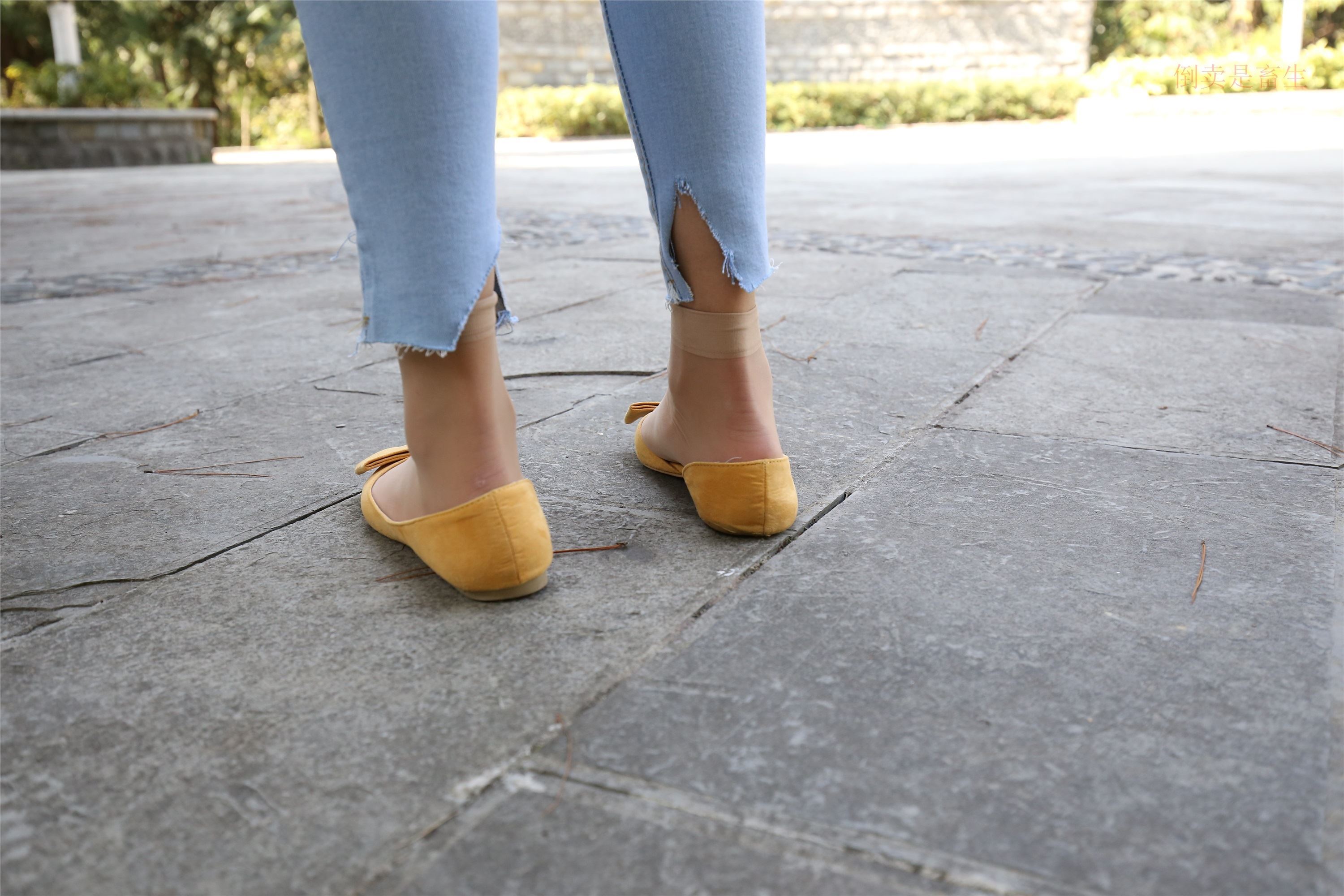 大西瓜美女图片 Z6-3 模特1 9牛仔短丝371p3