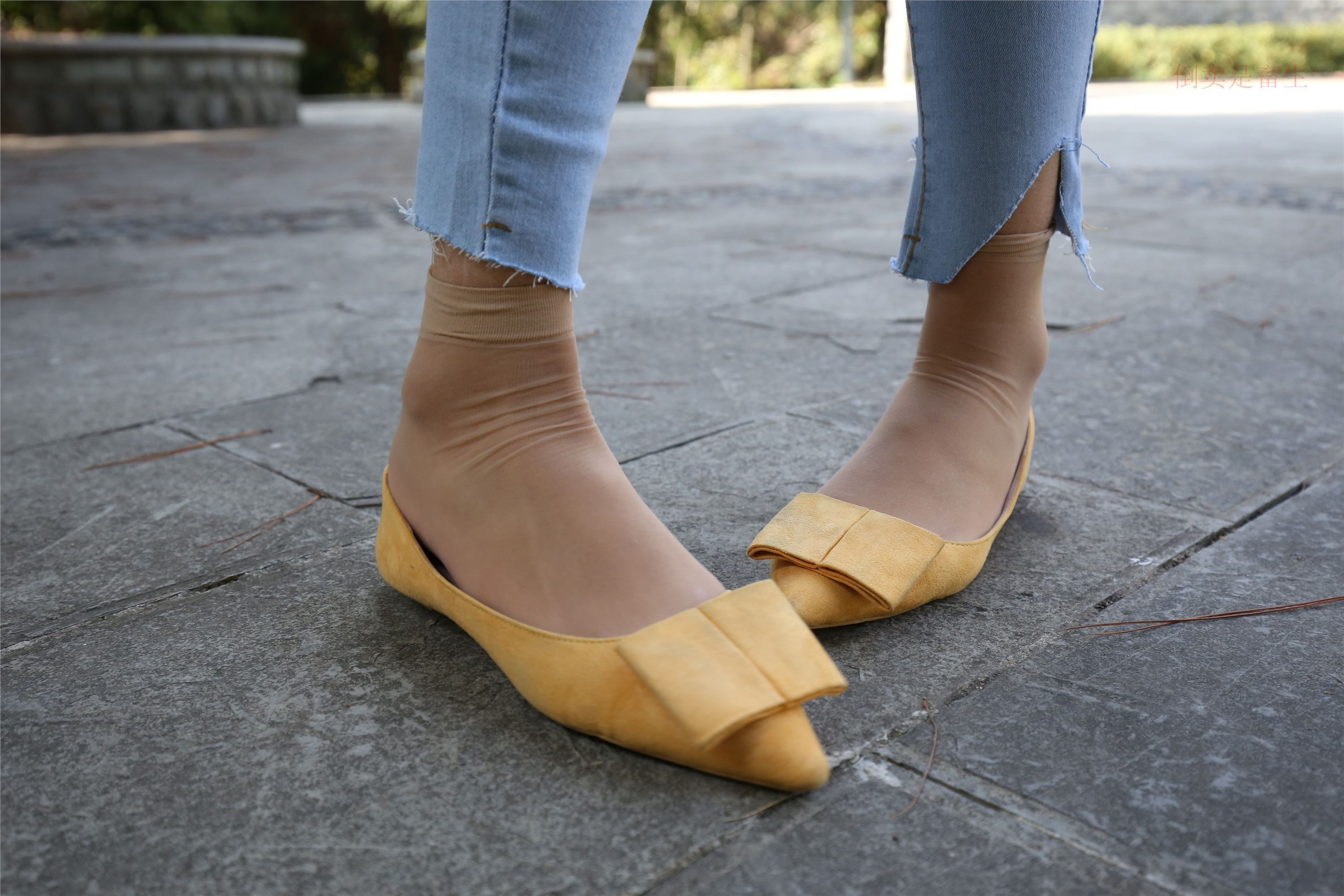 大西瓜美女图片 Z6-3 模特1 9牛仔短丝371p3