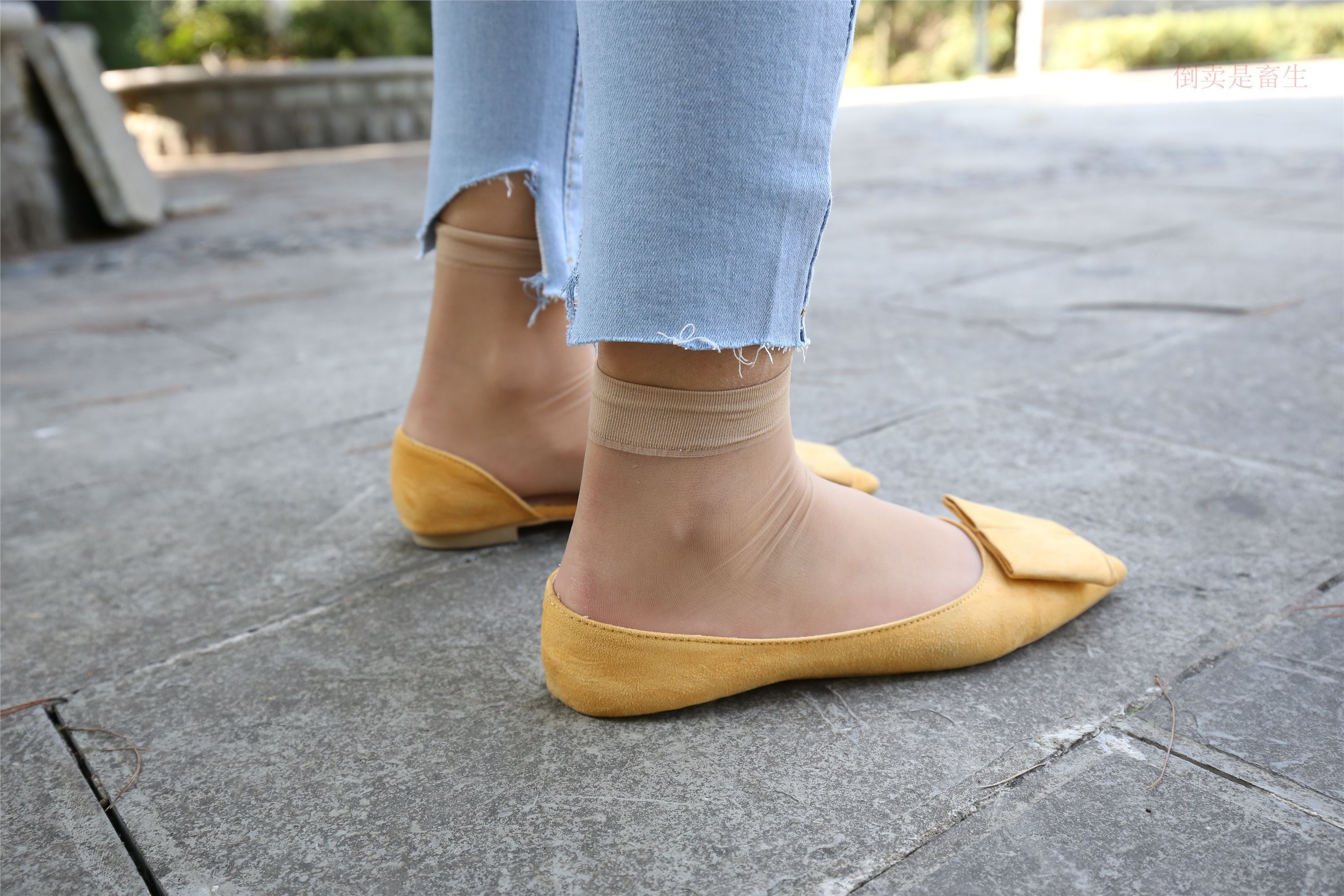 大西瓜美女图片 Z6-3 模特1 9牛仔短丝371p3