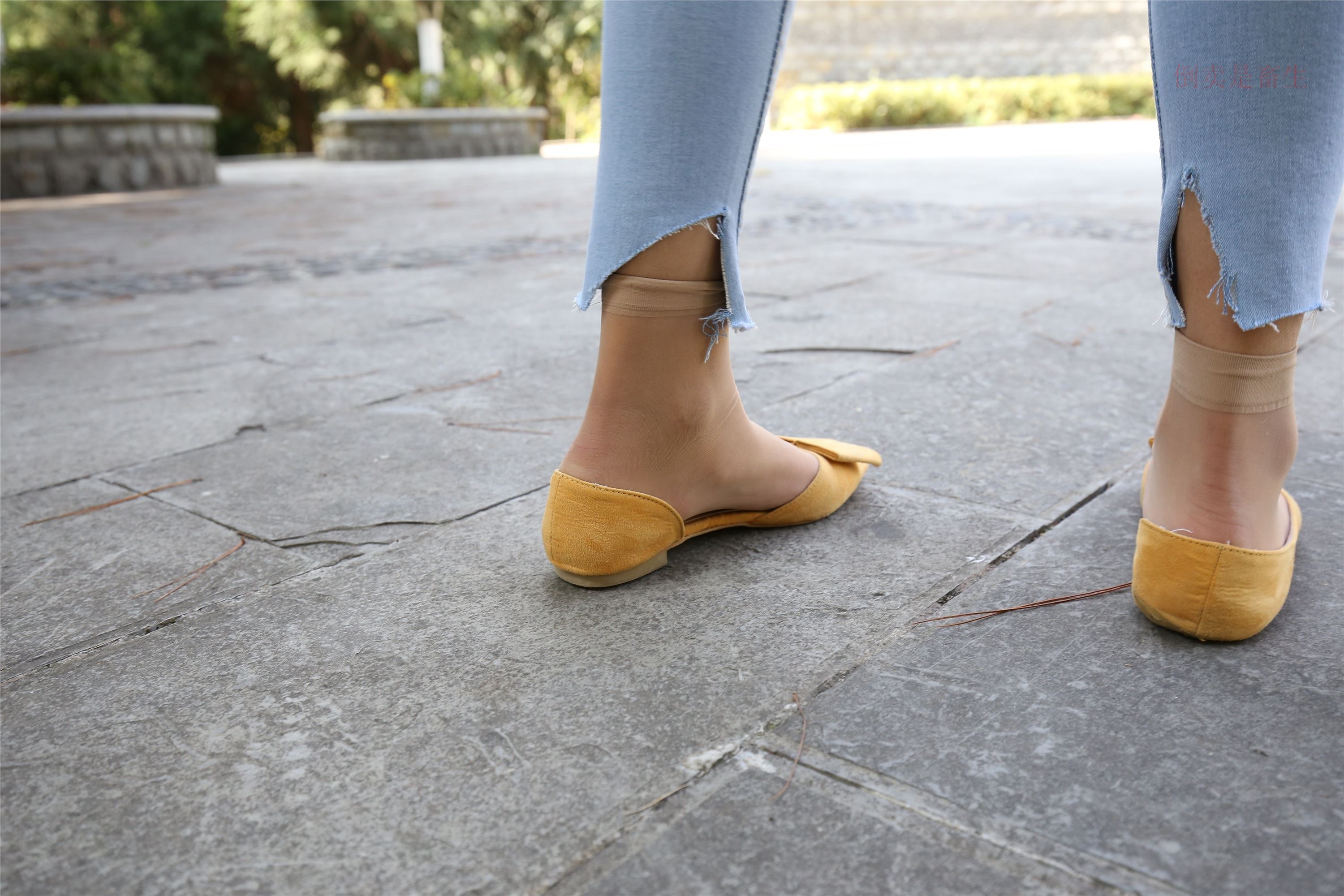 大西瓜美女图片 Z6-3 模特1 9牛仔短丝371p3