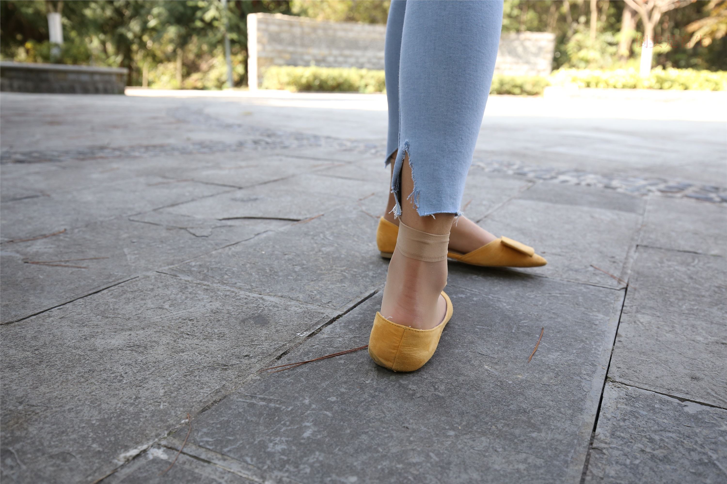 大西瓜美女图片 Z6-3 模特1 9牛仔短丝371p3