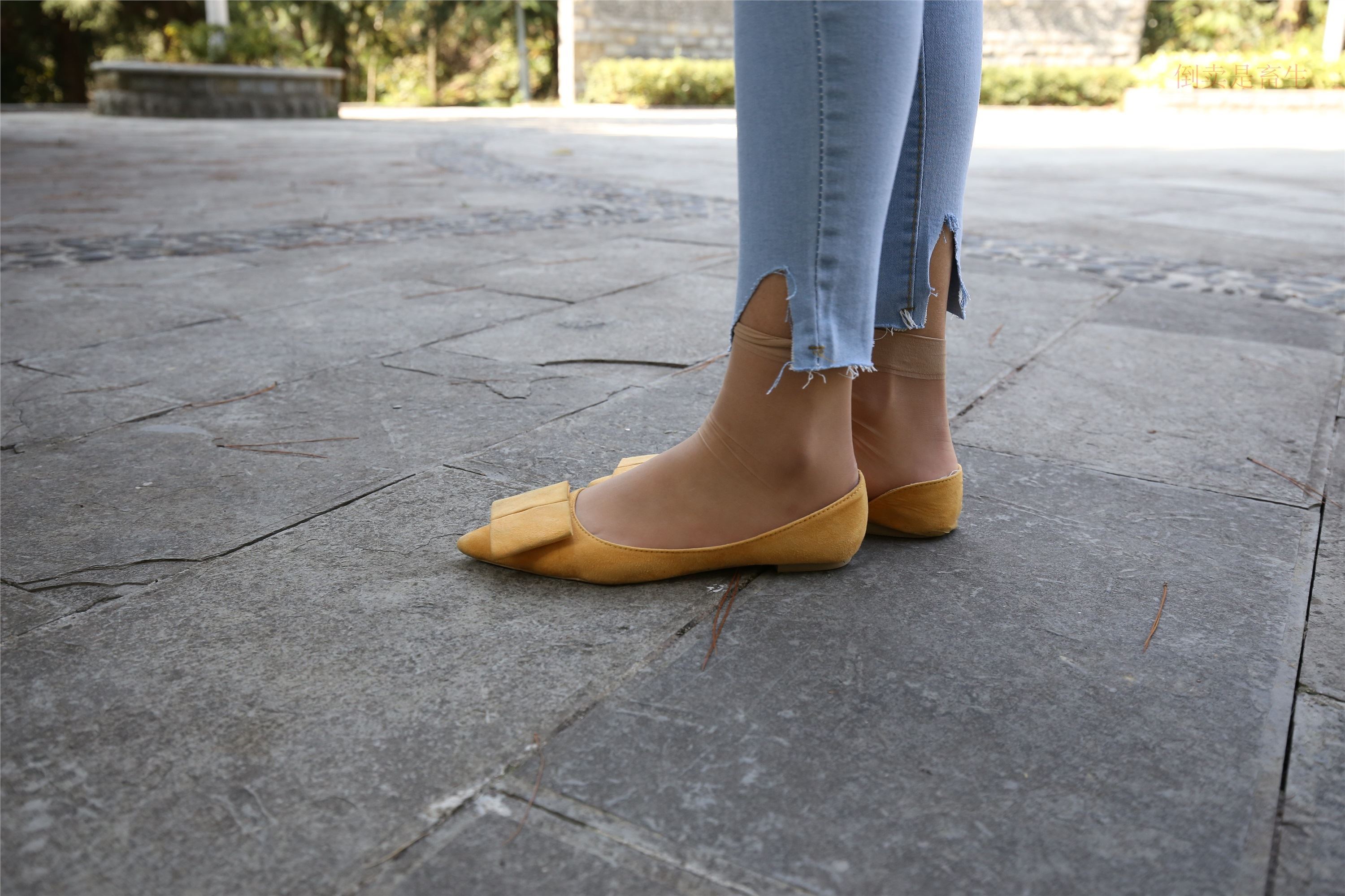 大西瓜美女图片 Z6-3 模特1 9牛仔短丝371p3