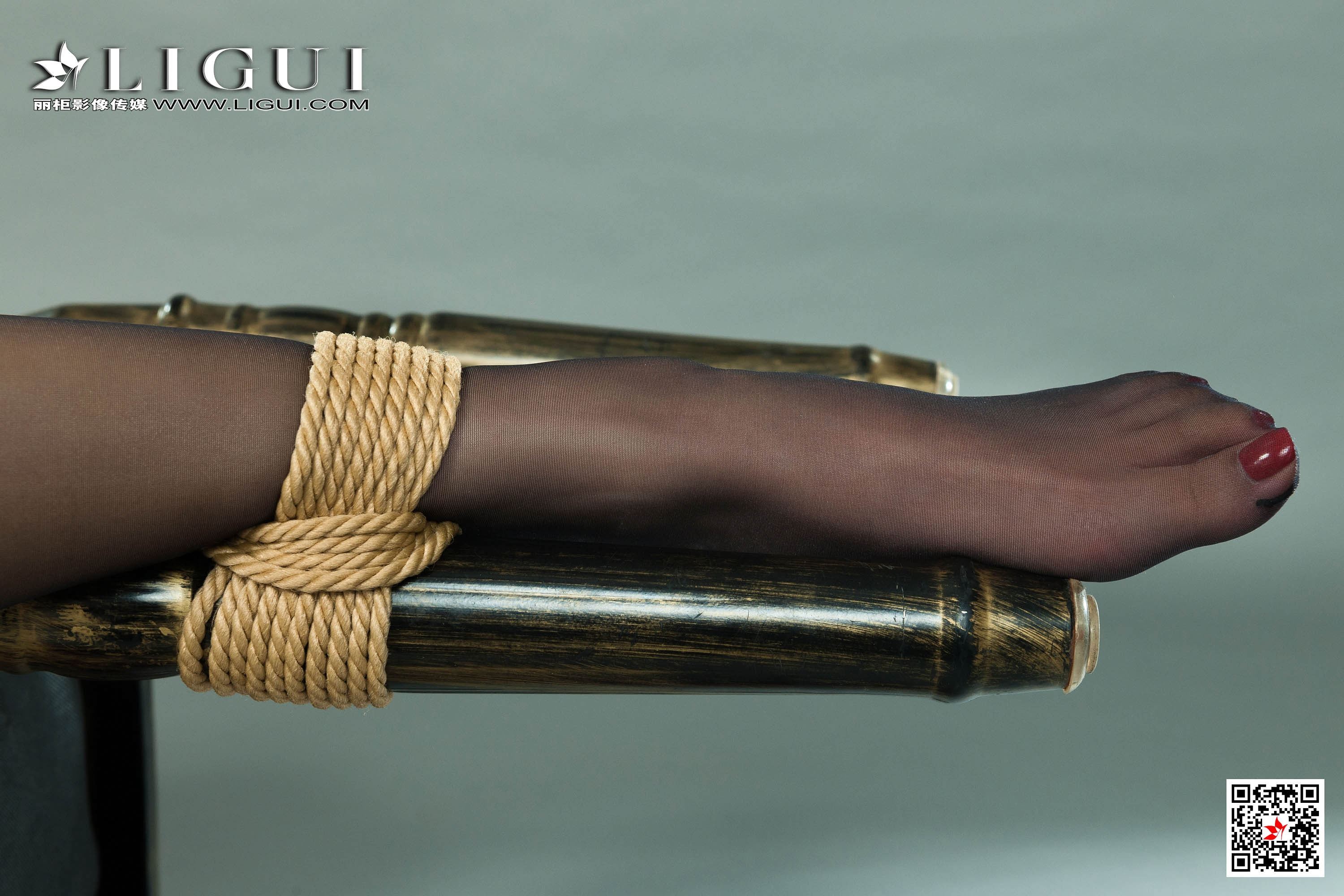 Ligui丽柜 2019.11.15 网络丽人 Model 轩轩