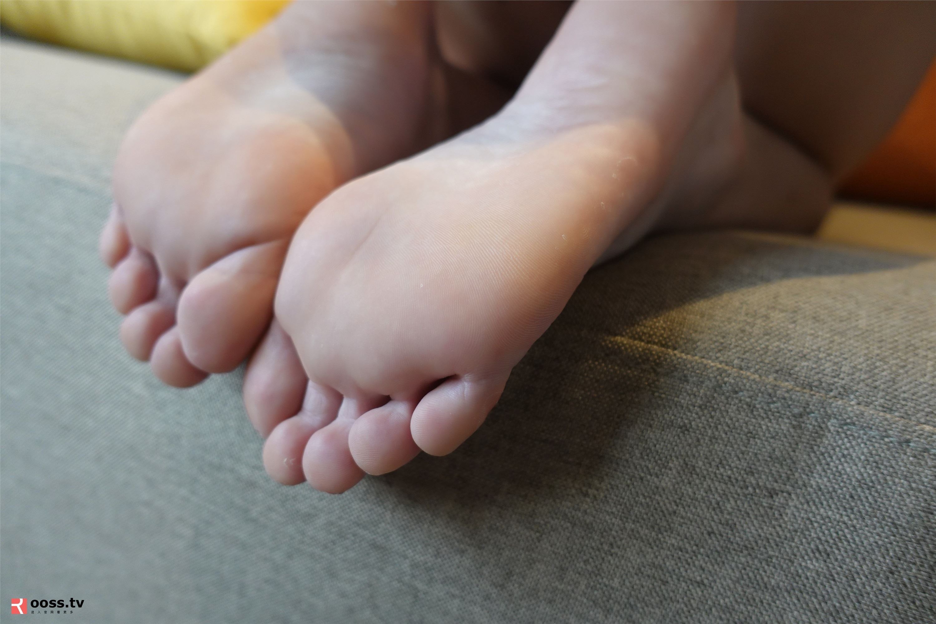 ROSI写真 2019.11.19 NO.2906