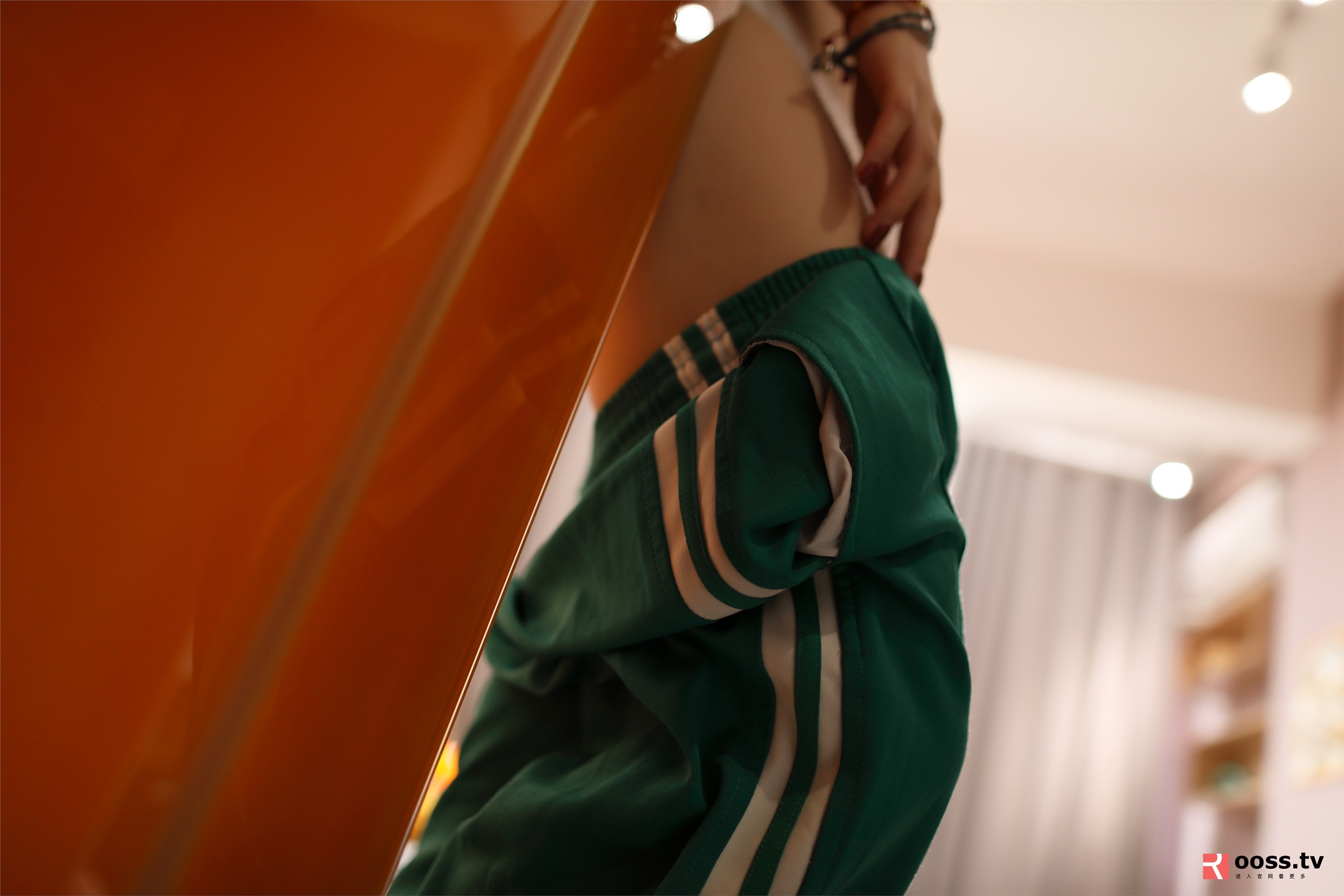 ROSI写真 2019.11.21 NO.2908