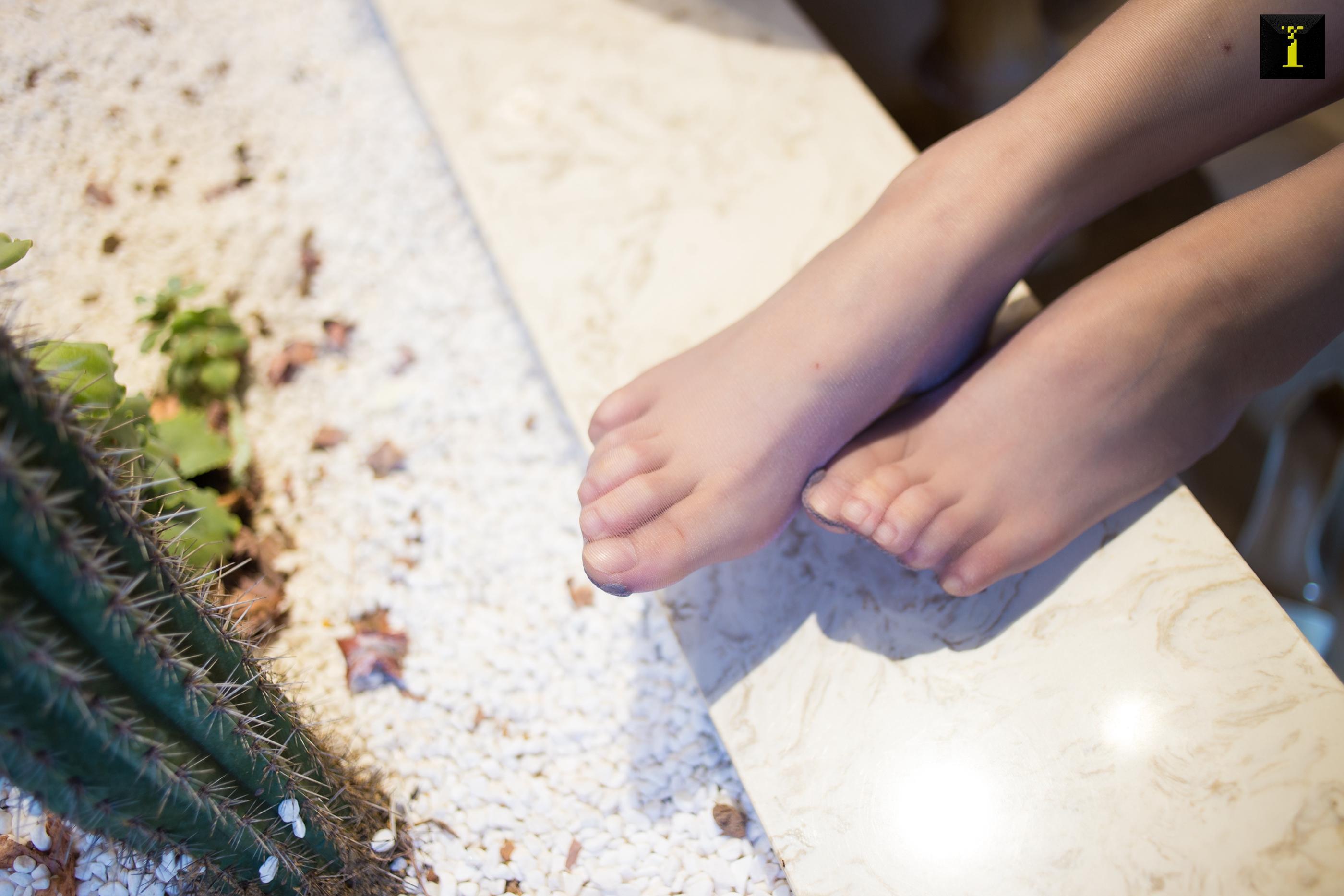 IESS异思趣向2019.11.23 丝享家626：温婉女子熙熙