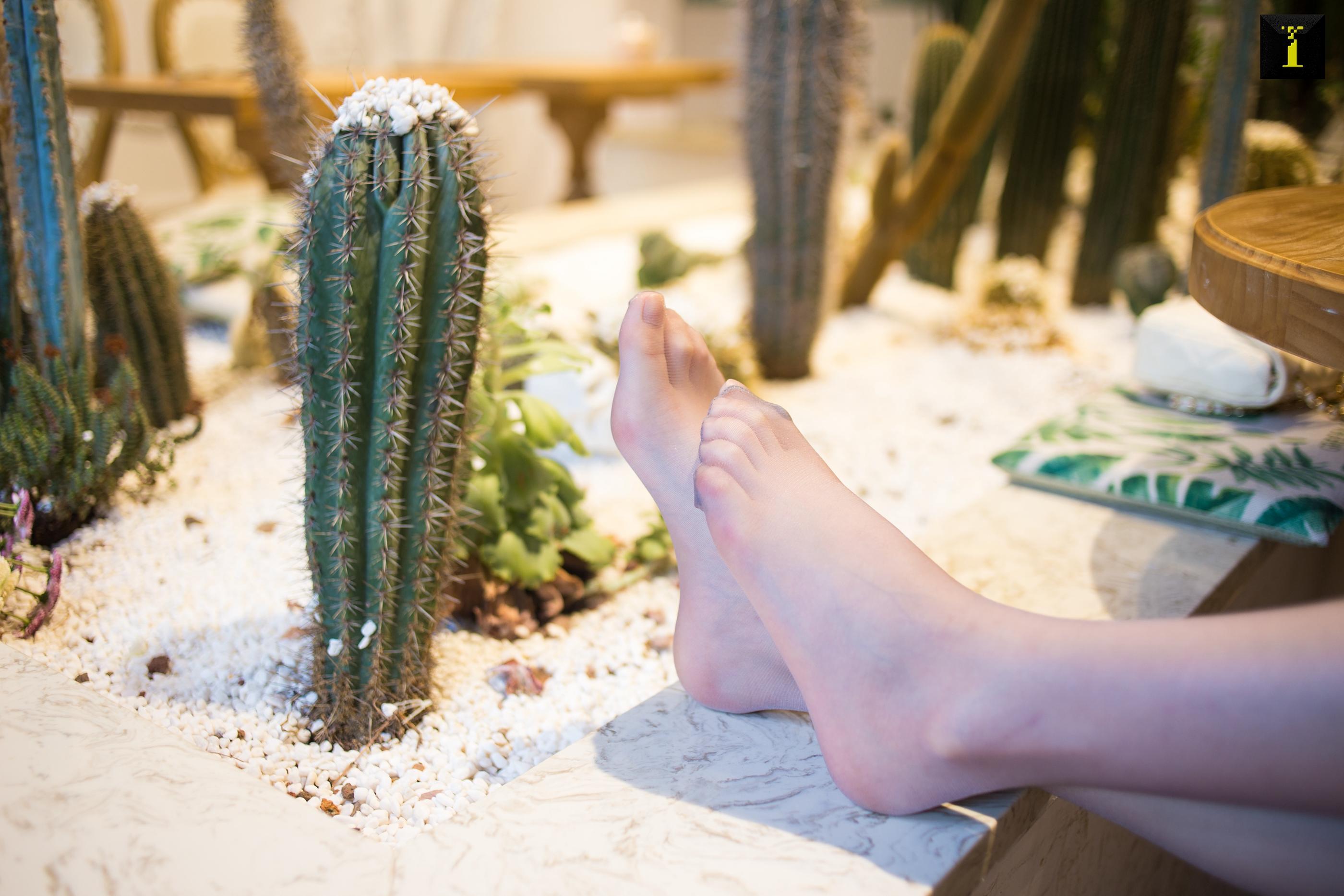 IESS异思趣向2019.11.23 丝享家626：温婉女子熙熙