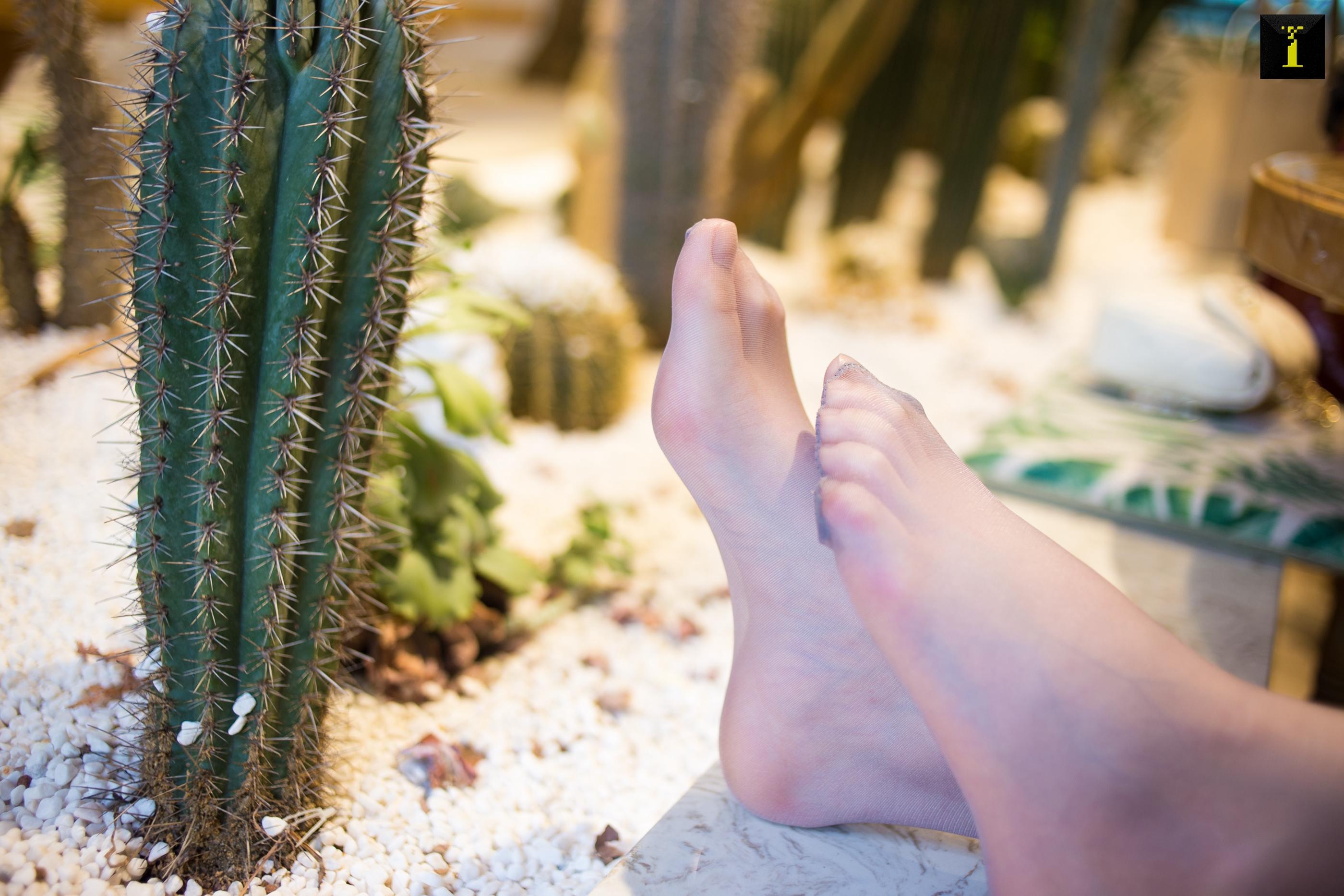 IESS异思趣向2019.11.23 丝享家626：温婉女子熙熙