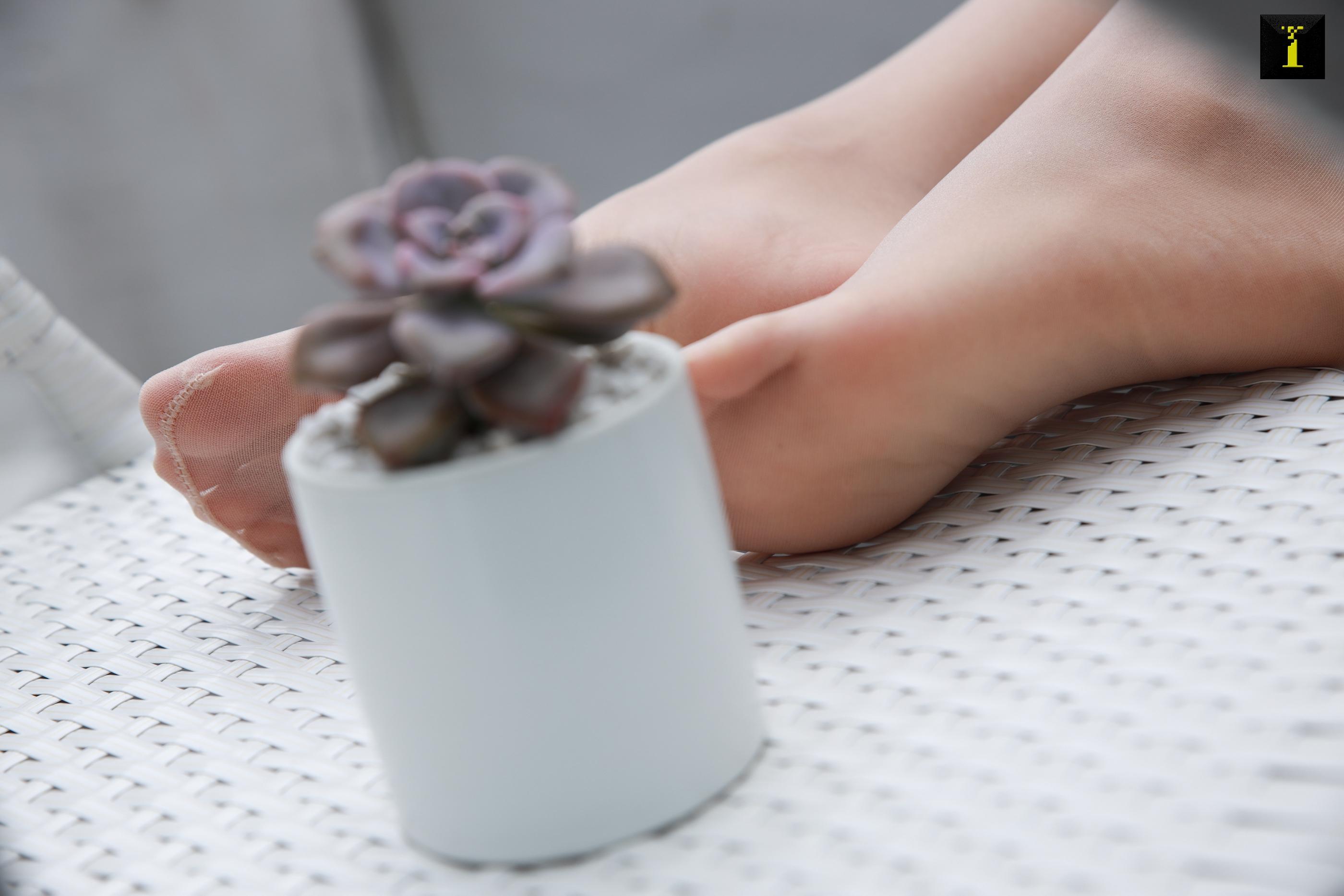 IESS异思趣向 2019.12.03 丝享家634：婉萍淑女的小香风