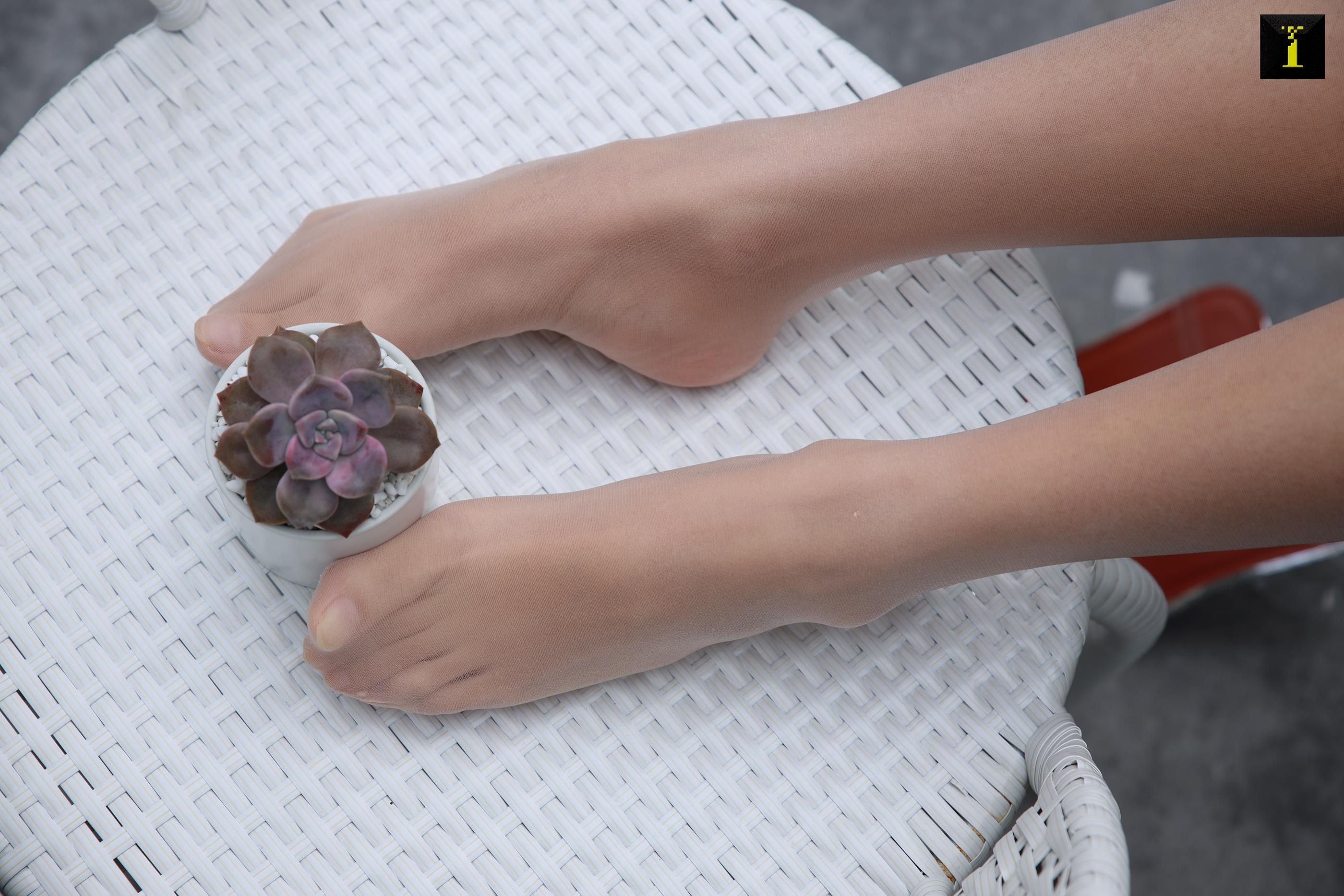 IESS异思趣向 2019.12.03 丝享家634：婉萍淑女的小香风