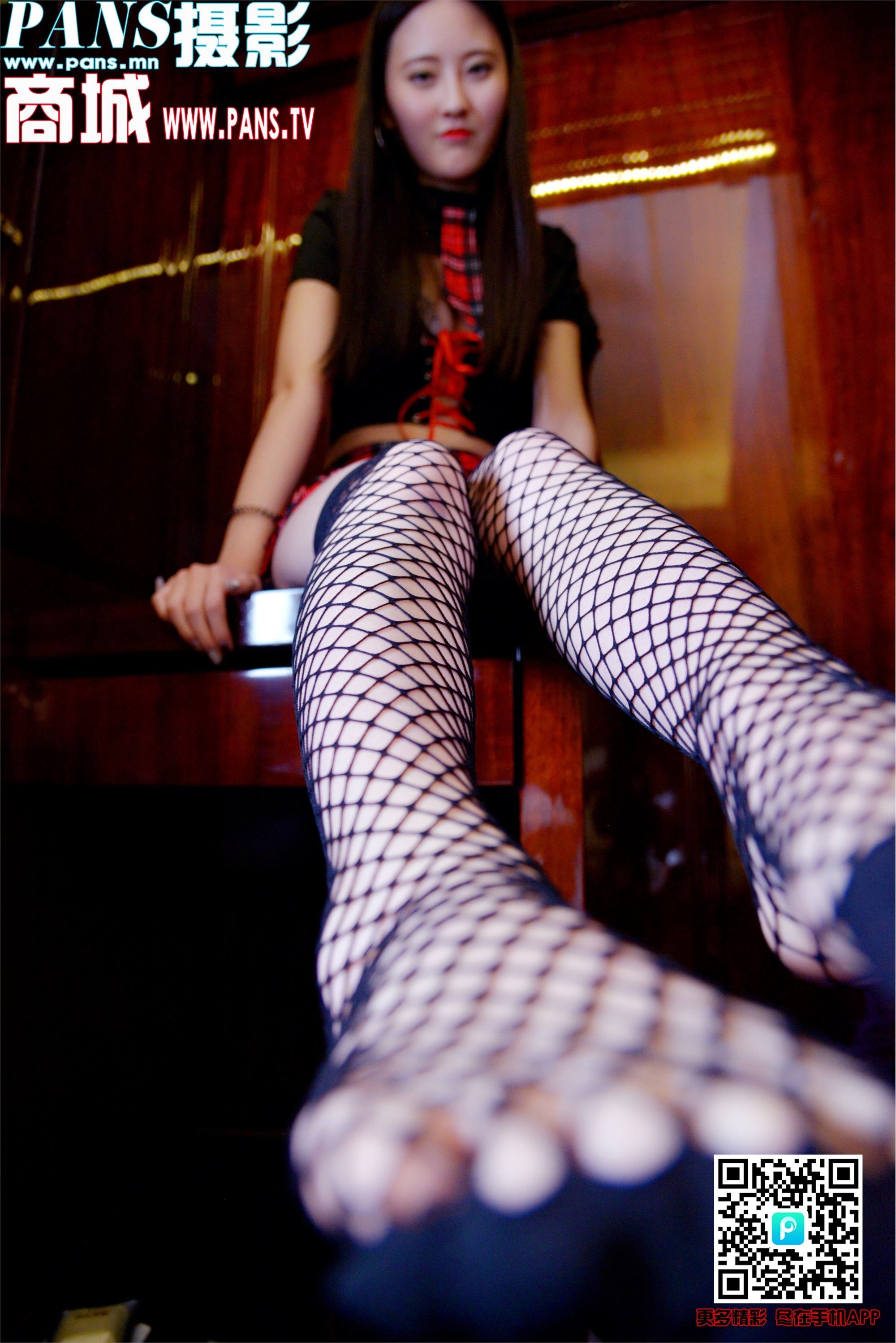 PANS写真 2019.01.10 NO.1077 狐狸